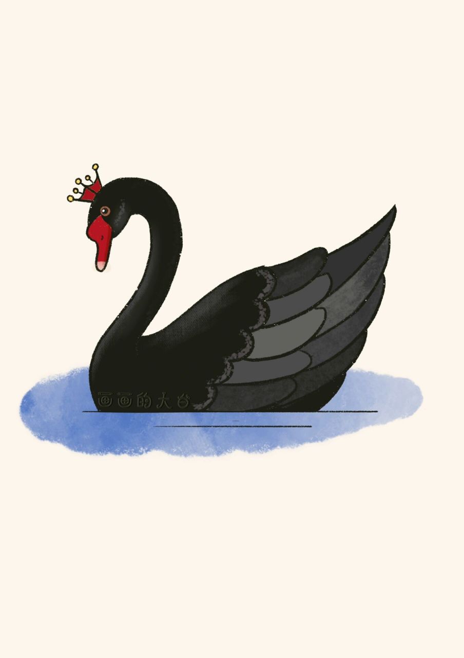 60黑天鹅 黑天鹅画法 插画 简笔画绘画过程