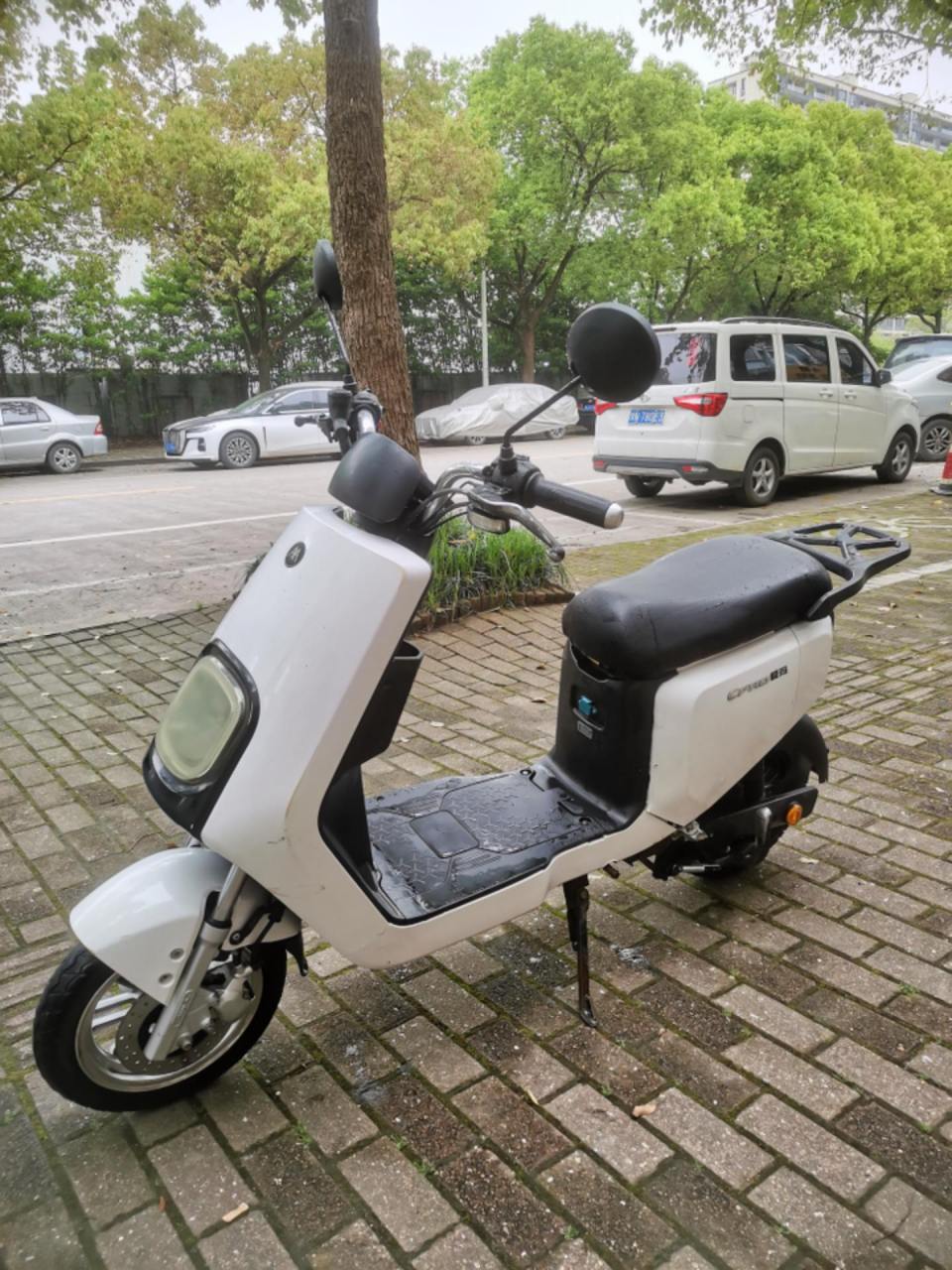 爱玛礼物48v新国标电动自行车四个电瓶.