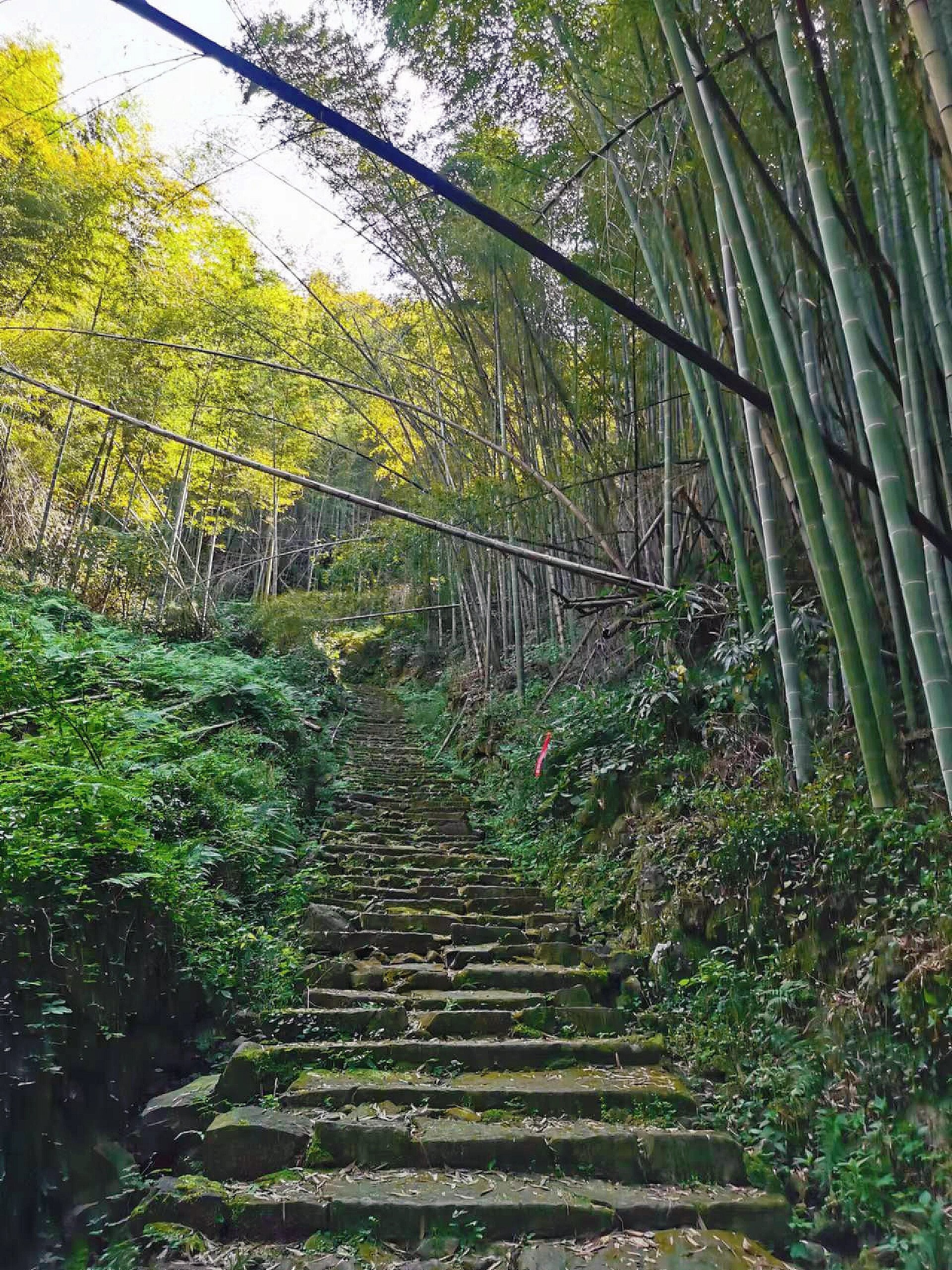 周末休闲游推荐:绍兴上青古道 适合周末游