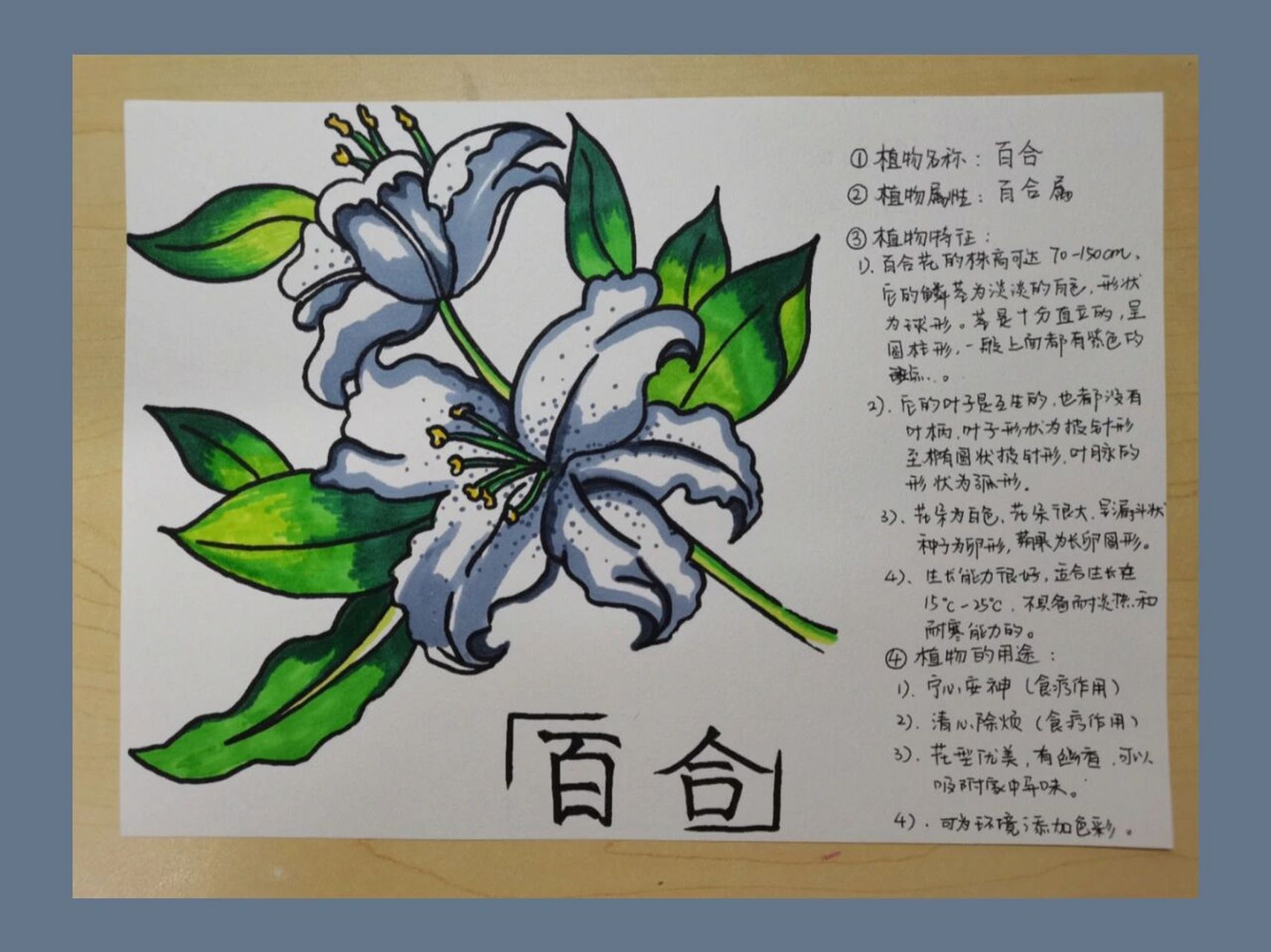 中国特有的植物手抄报图片