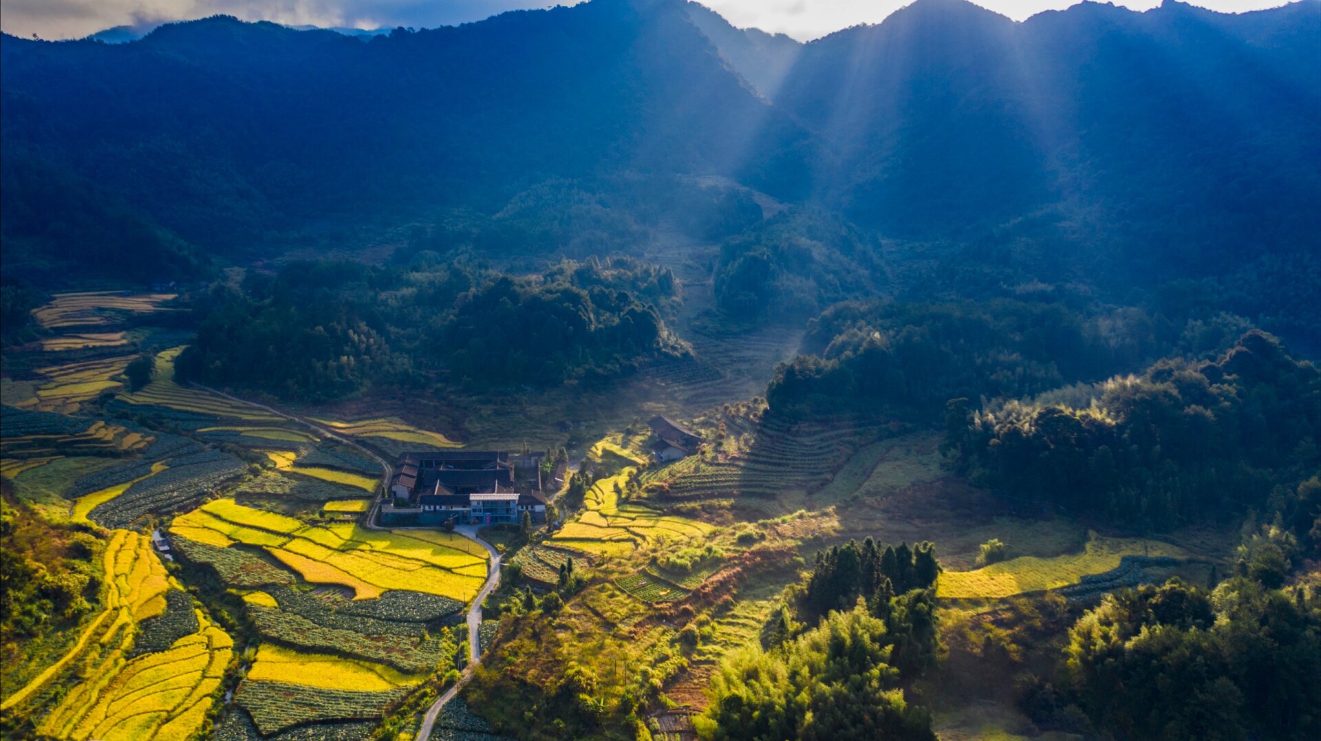 去大赤岸,过重阳节 永泰县丹云乡赤岸村稻谷正黄,乡亲们正在紧锣密鼓