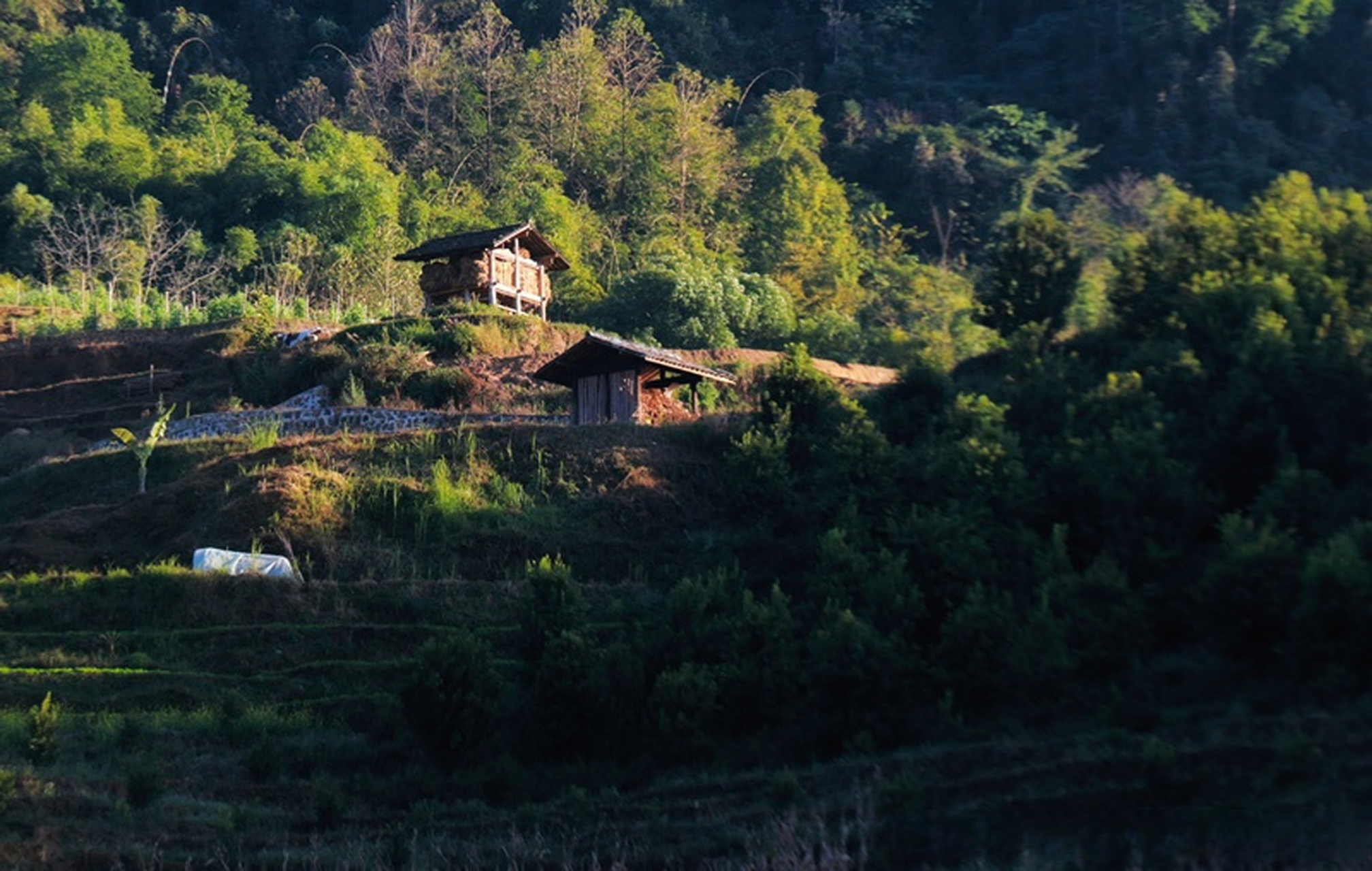 【田房:遗留在云南腾冲田园山水间的诗行】云南保山市腾冲五合乡的