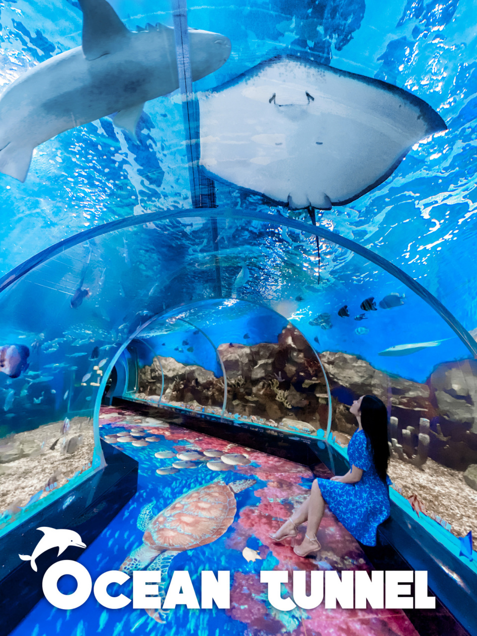 佛山游玩拍照地00海洋馆与鲨同游海底隧道 00今天给大家分享佛山