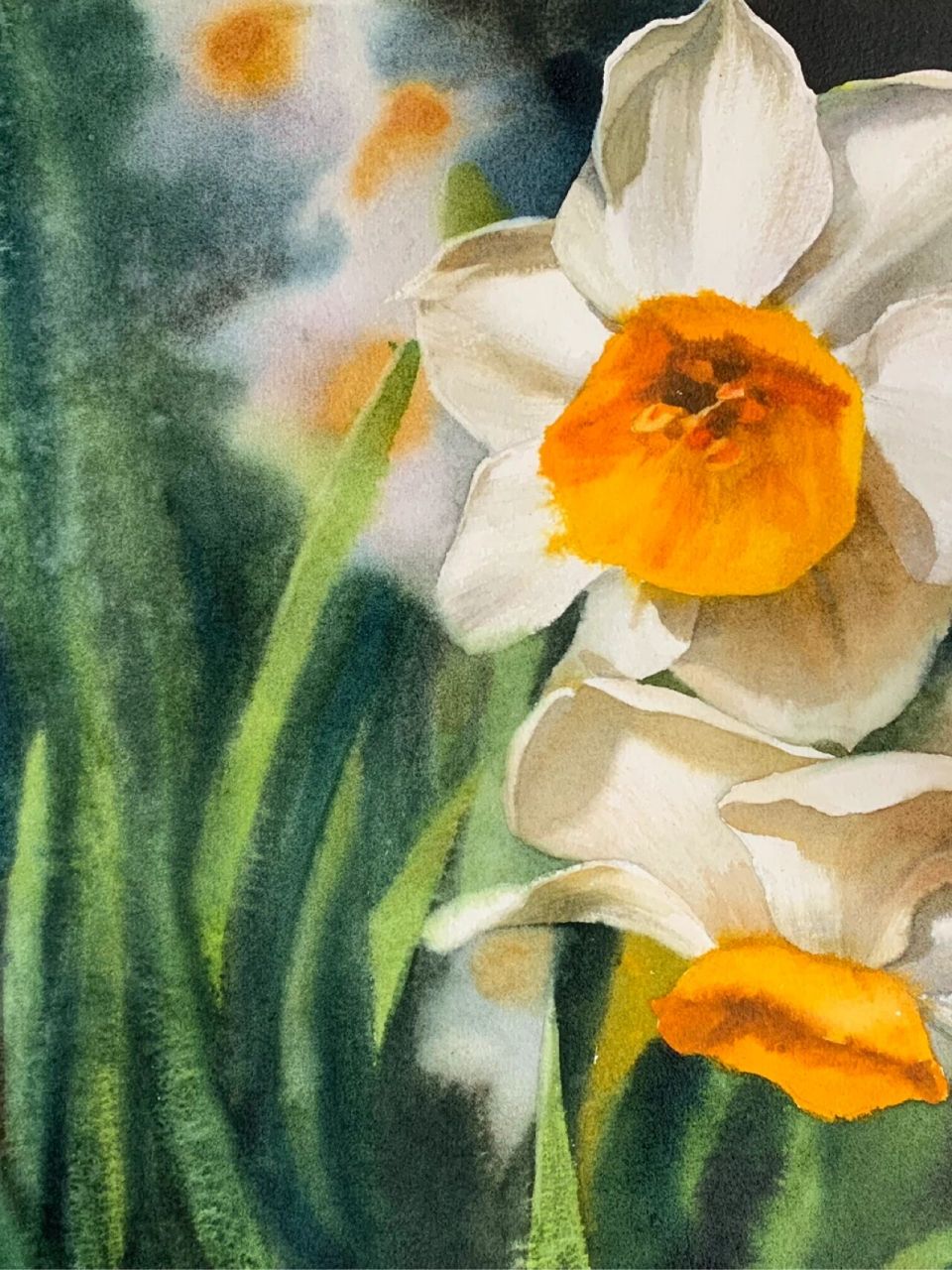 水彩植物花卉 | 水仙花(步骤图) 水彩画水仙花 调色: 99白色花瓣亮