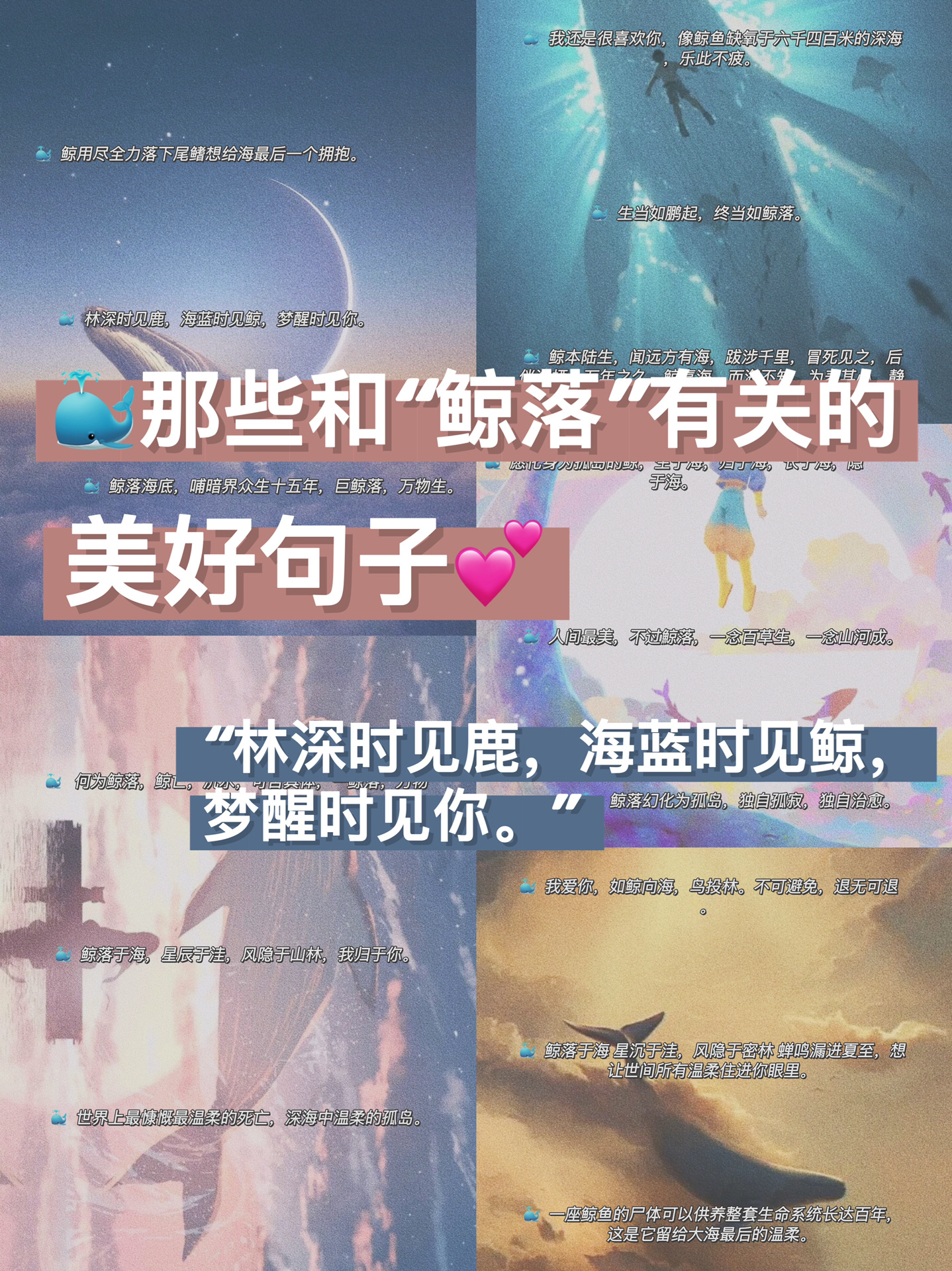 我是媛仔95 78今日份文案分享 78有关"鲸落"的美好句子,唯美