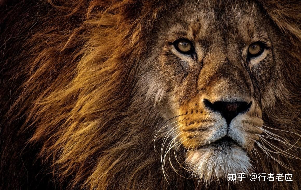 如何锻炼自己坚定或者坚毅的眼神为何眼神看起来总是飘忽不定是因为