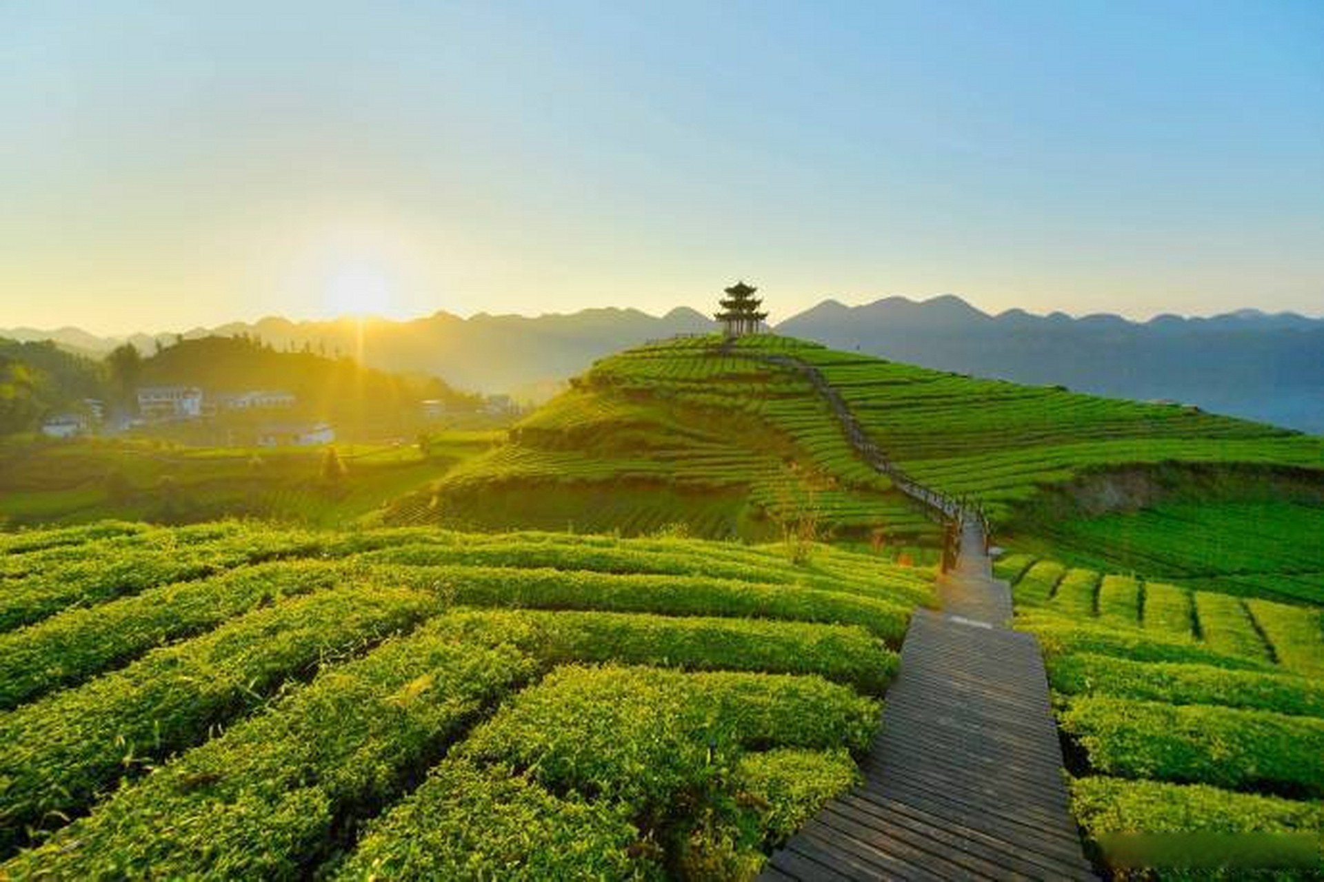 湖北文旅资讯#【授牌恩施!湖北省第一个,浪漫宣恩在其中!