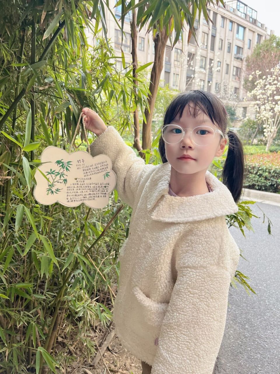 植物名牌制作:小学一年级植树节的活动 一年一度的植树节活动来了!