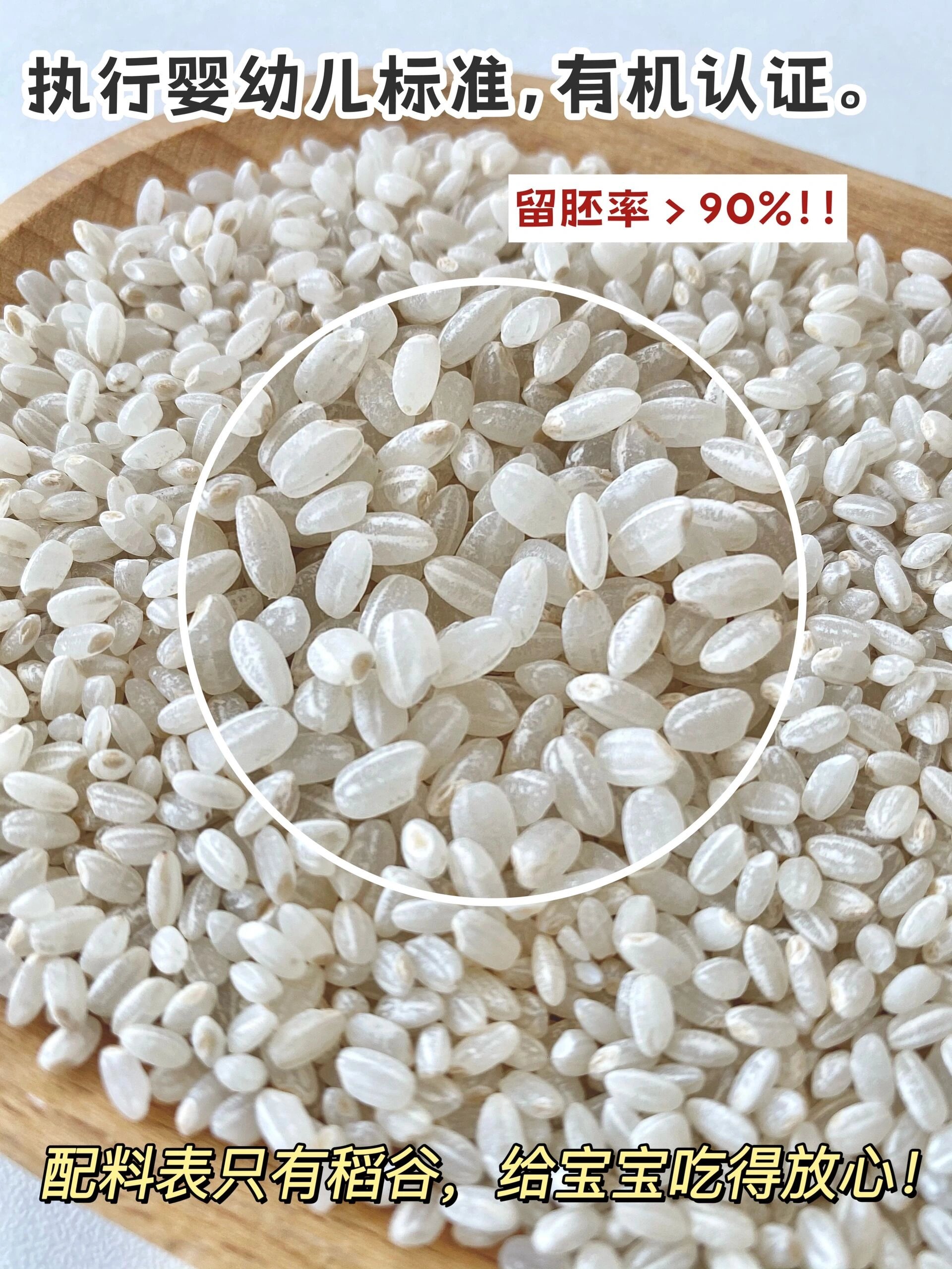 宝宝到底该不该吃胚芽米?