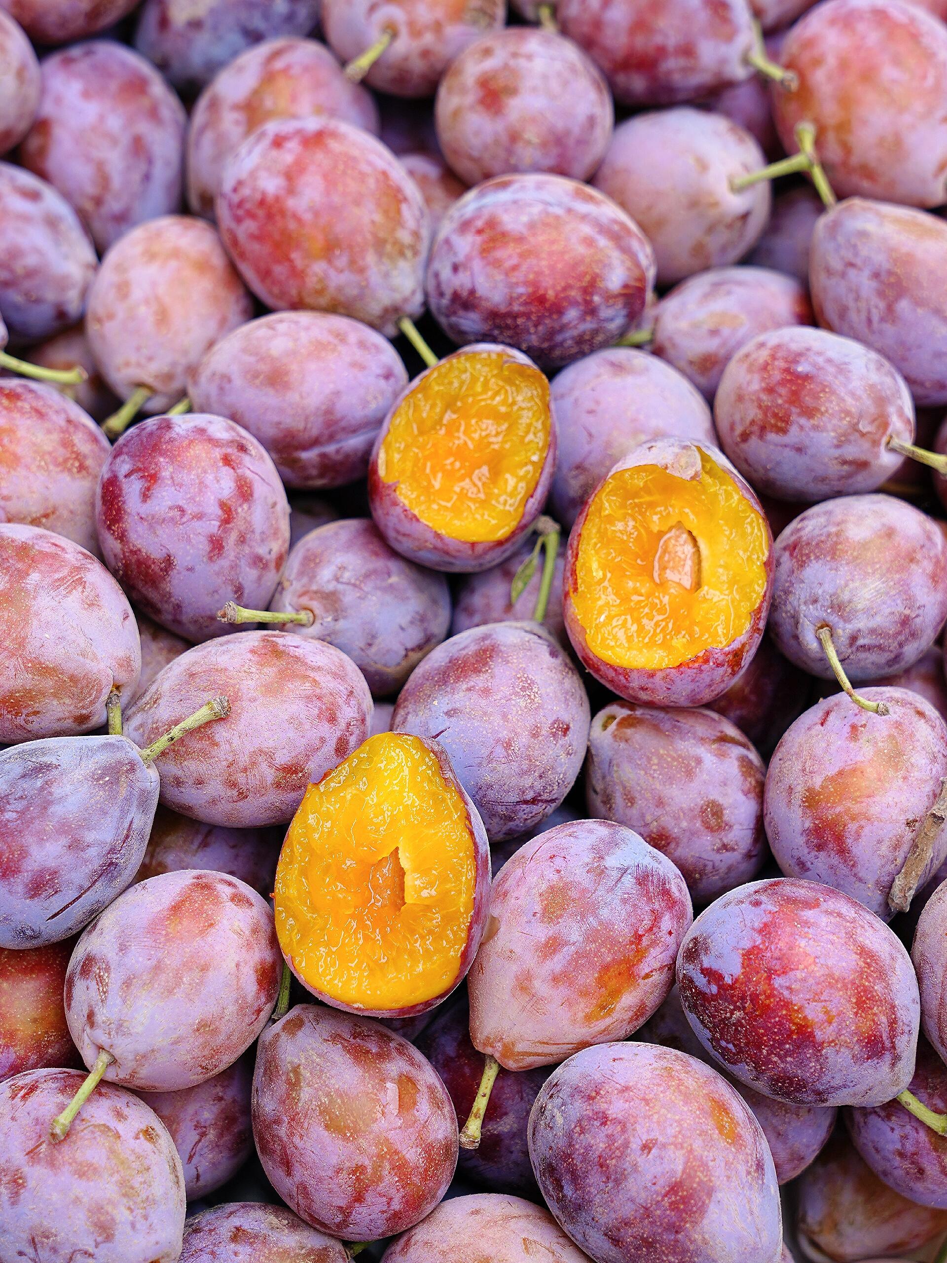 吃过这么多西梅,还是它最好吃 吃过那么多西梅,还是新疆法兰西西梅最