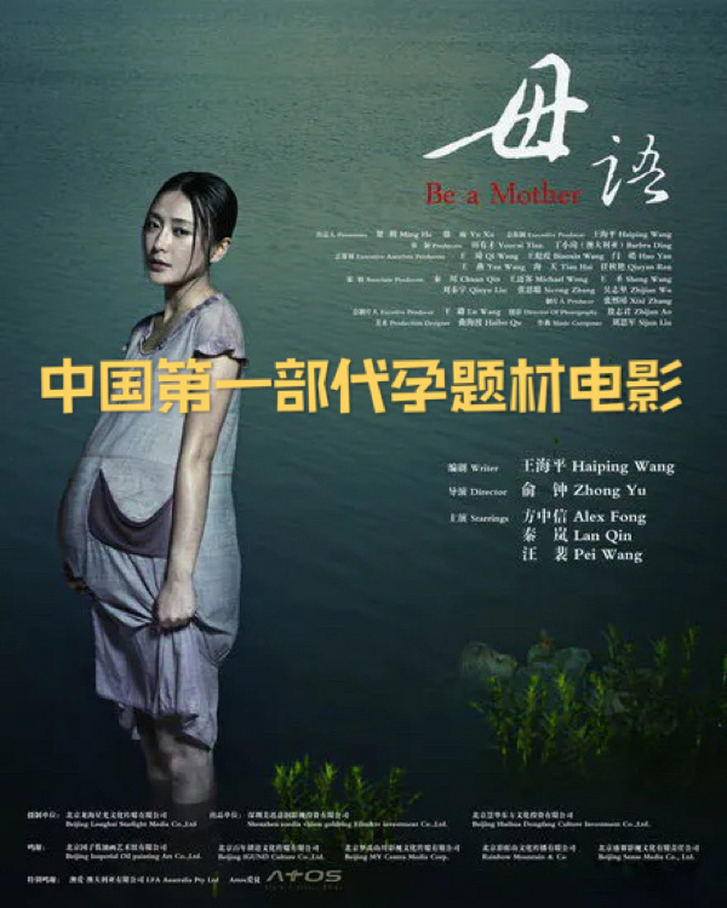 那一年郑爽错过的影片 2012年,中国第一部代孕题材电影《母语》上映