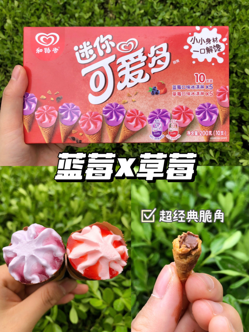 迷你可爱多10种口味大测评! 周周一直是可爱多的粉丝!