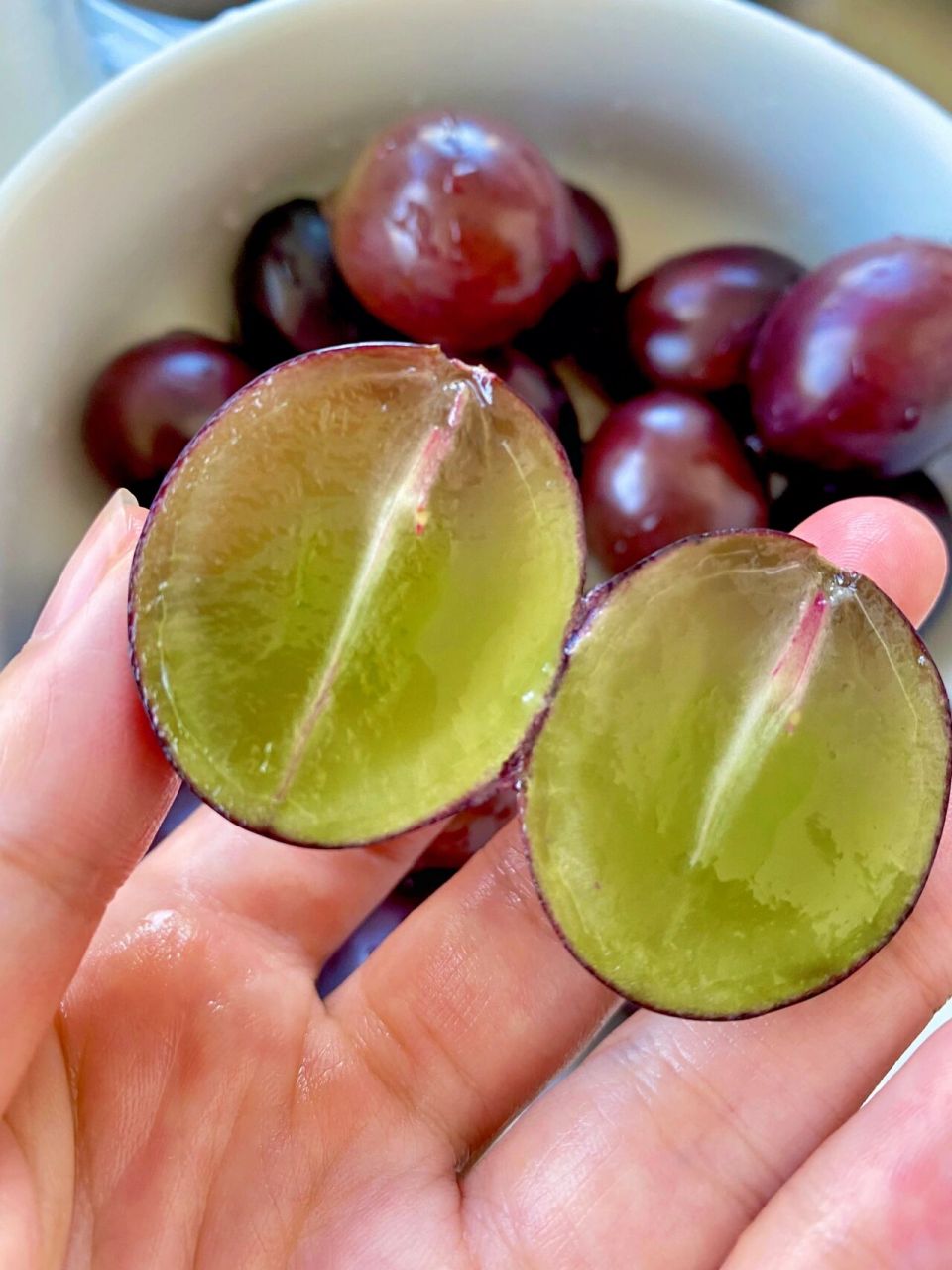 东北的辽峰葡萄也太好吃了吧 辽峰葡萄一开始是上看到被种草了 就p