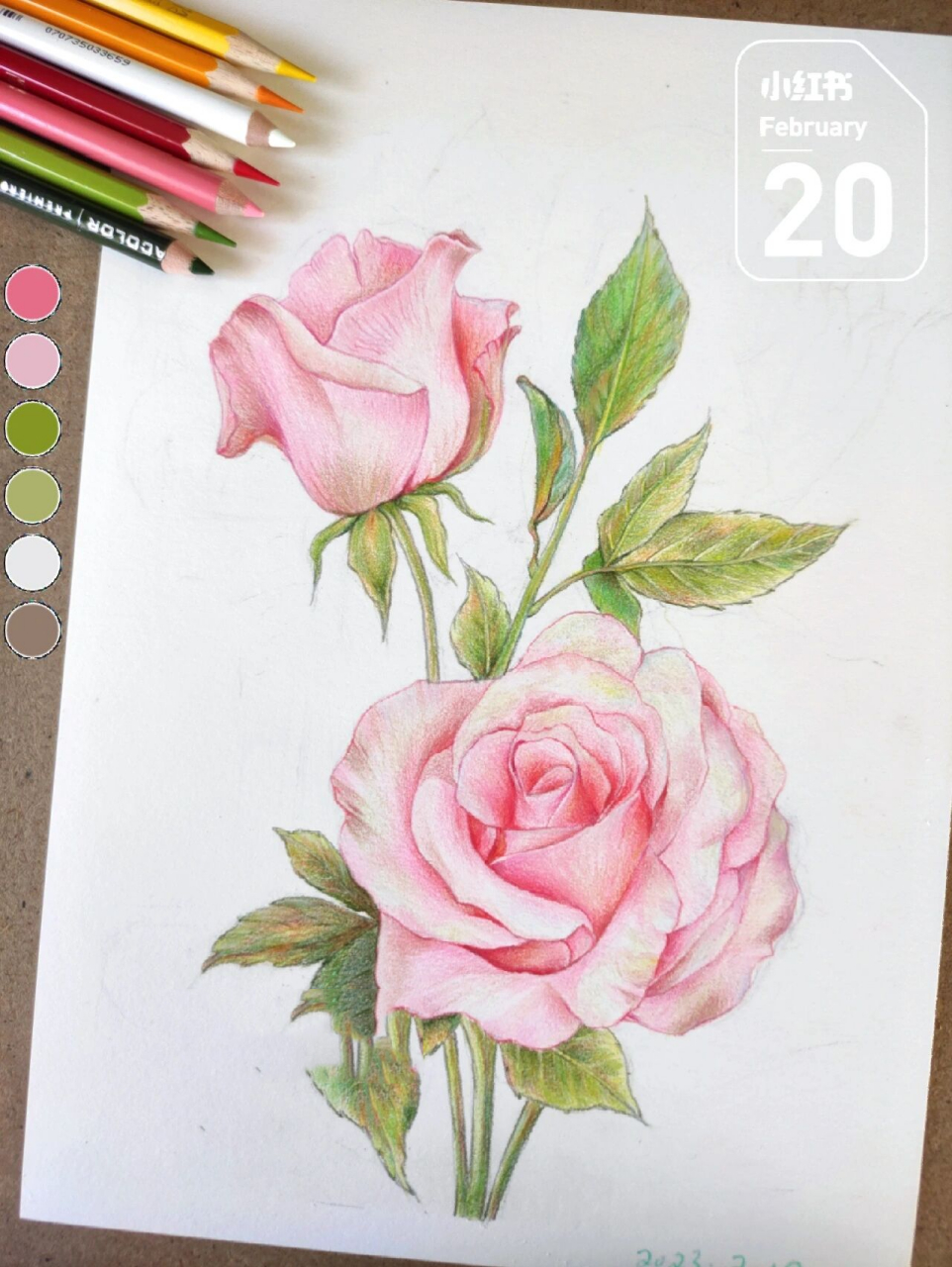 彩铅手绘画 适合初学的花卉 附线稿素材 越是看起来简单的越考验基本