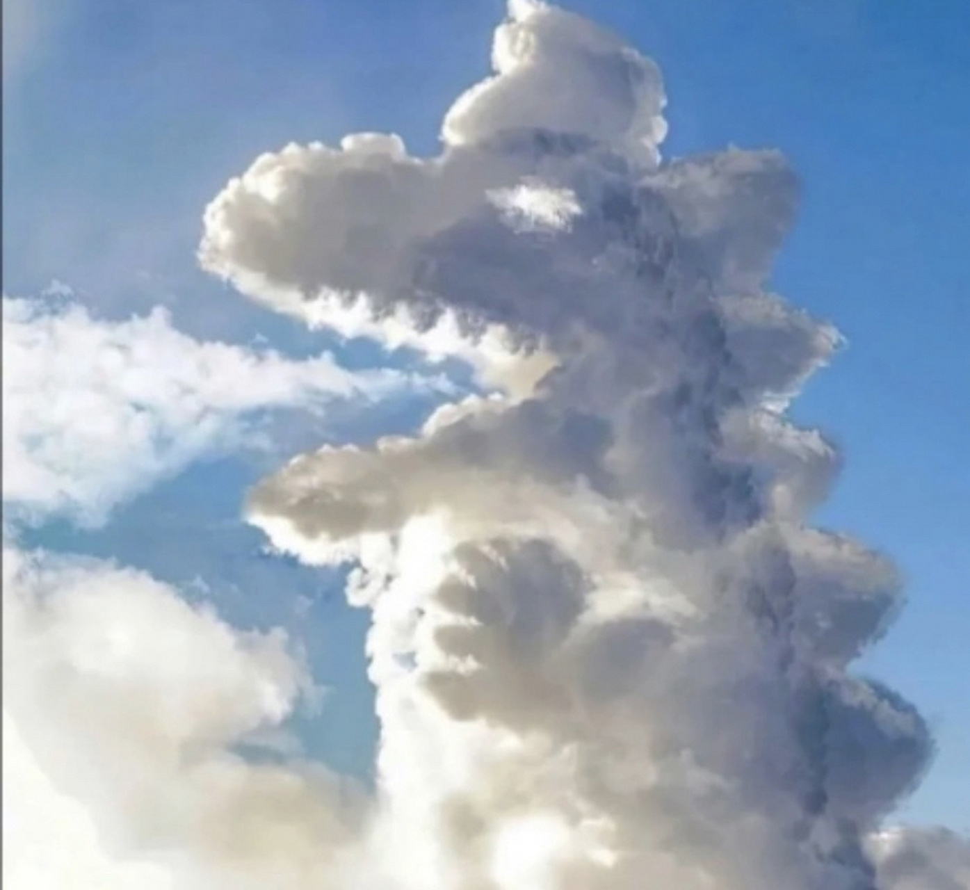 情侣头像 云朵恐龙 宝,你闻闻,我吃蒜了 真巧,我也吃了,你闻闻