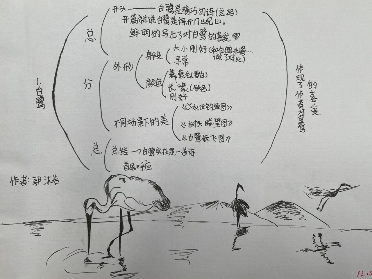 五年级上册复习 白鹭 思维导图
