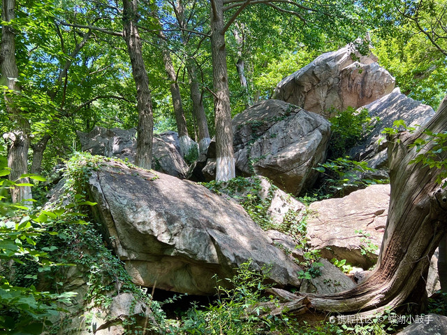 游花果山"怪石园",感受大自然伟力!