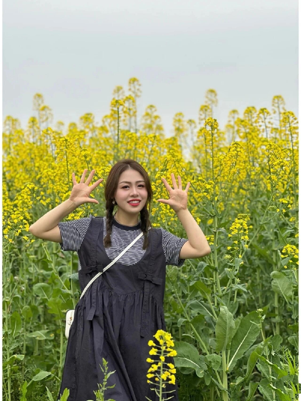 菜籽花的味道,油菜花的味道,油菜花的味道油菜花香油菜花香来了