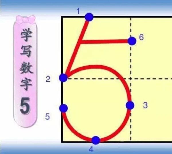 数字5占格图片