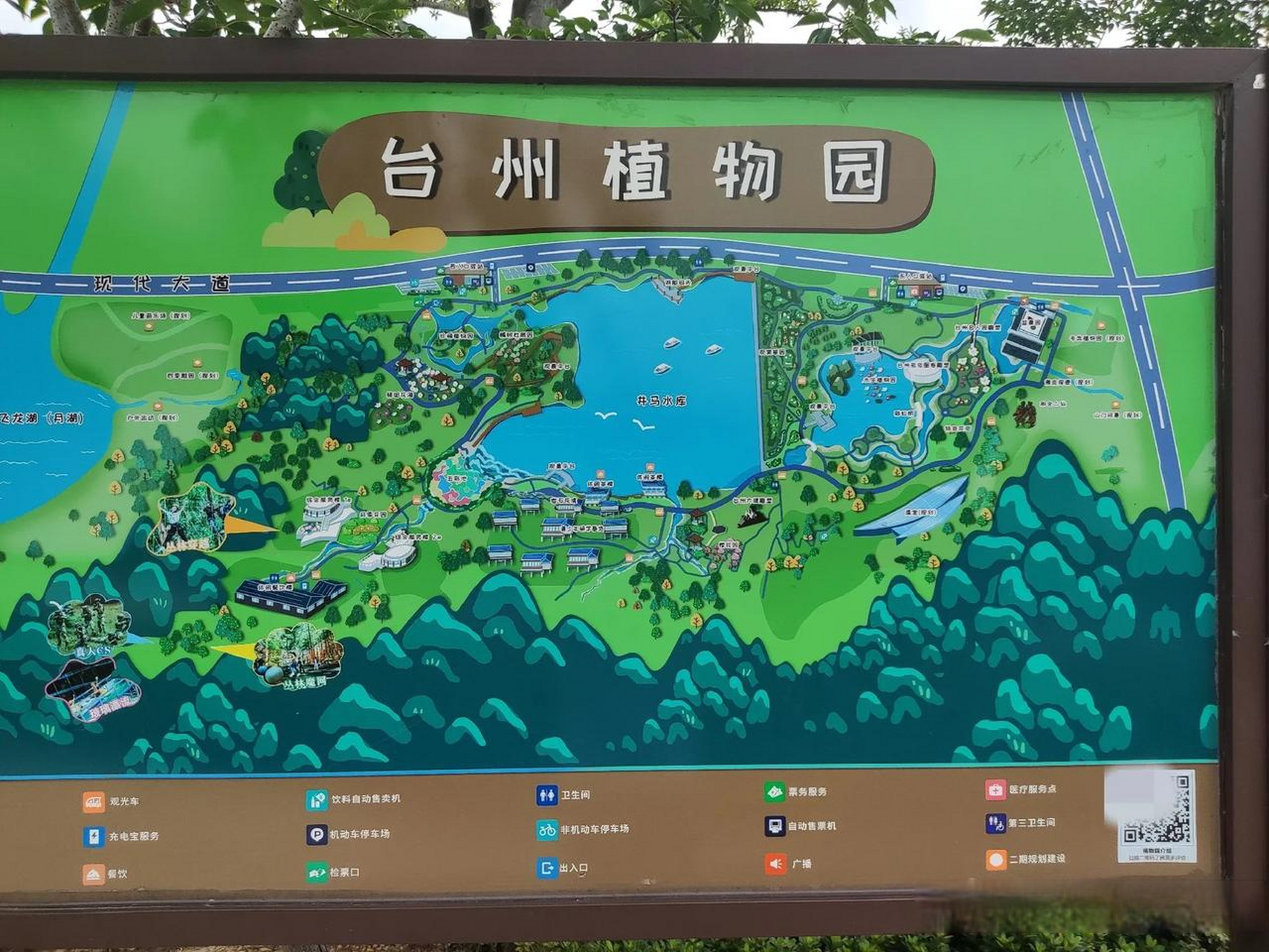 坐车逛了一圈,发现植物园里的井马水库水位很高啊,差不多就和岸边的路