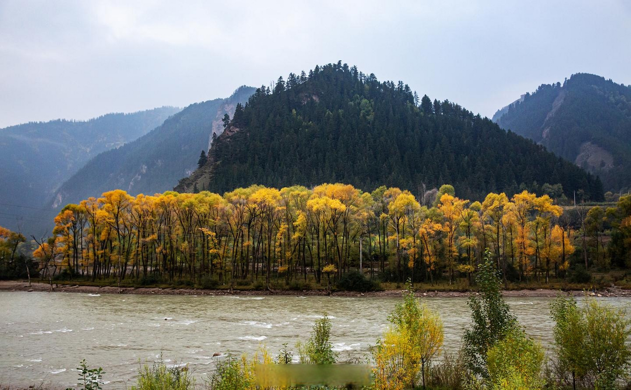 甘肃秋天有多美# 10月,走进甘肃省武威市天祝县境内的大通河畔,秋风