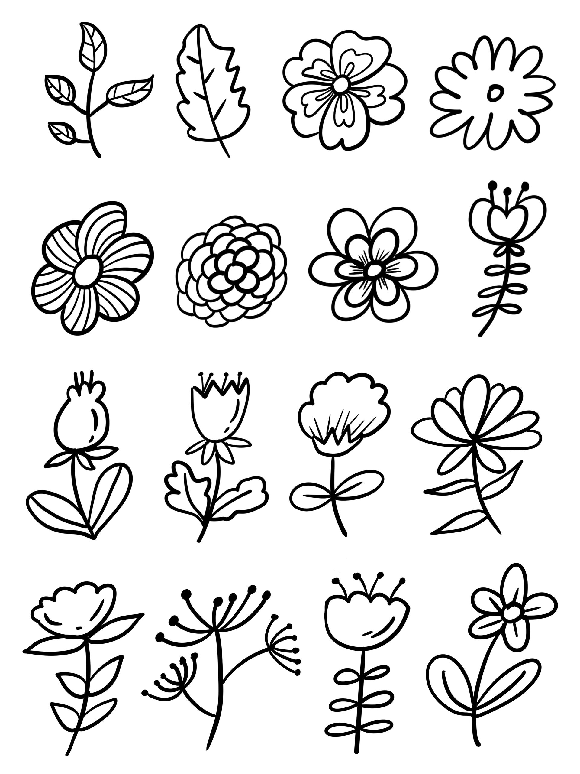 简笔画|画画练习day8|花花草草植物91989392