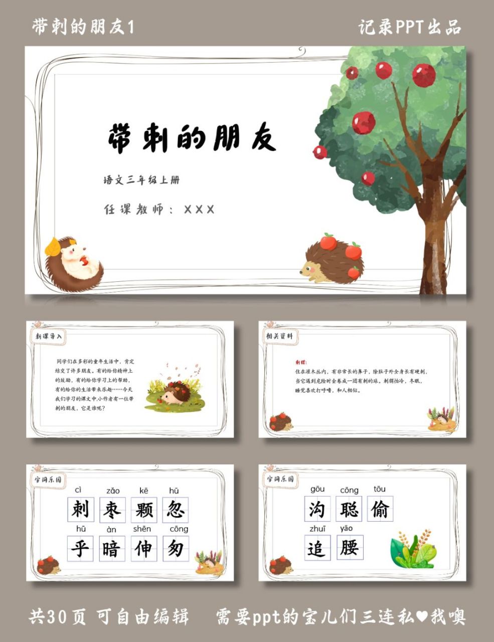 带刺的朋友 课件 带刺的朋友1 ppt模板 目录包括 ①新课导入 ②相关