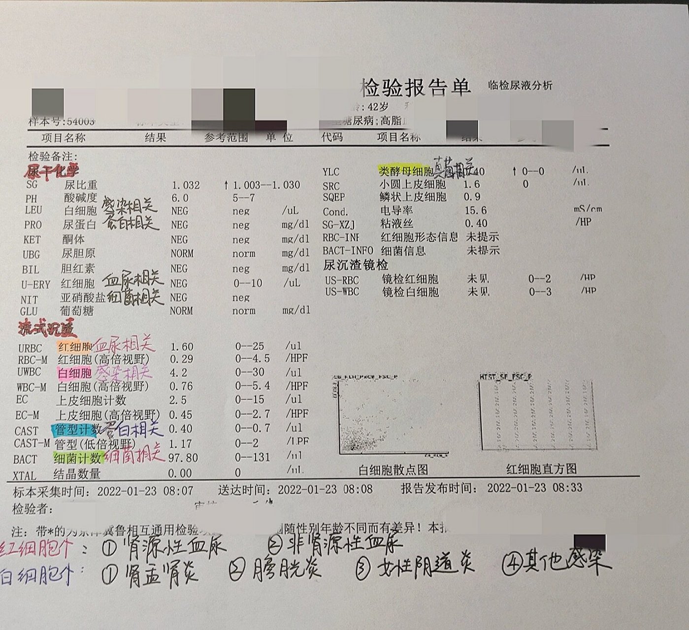 尿沉渣化验单图片