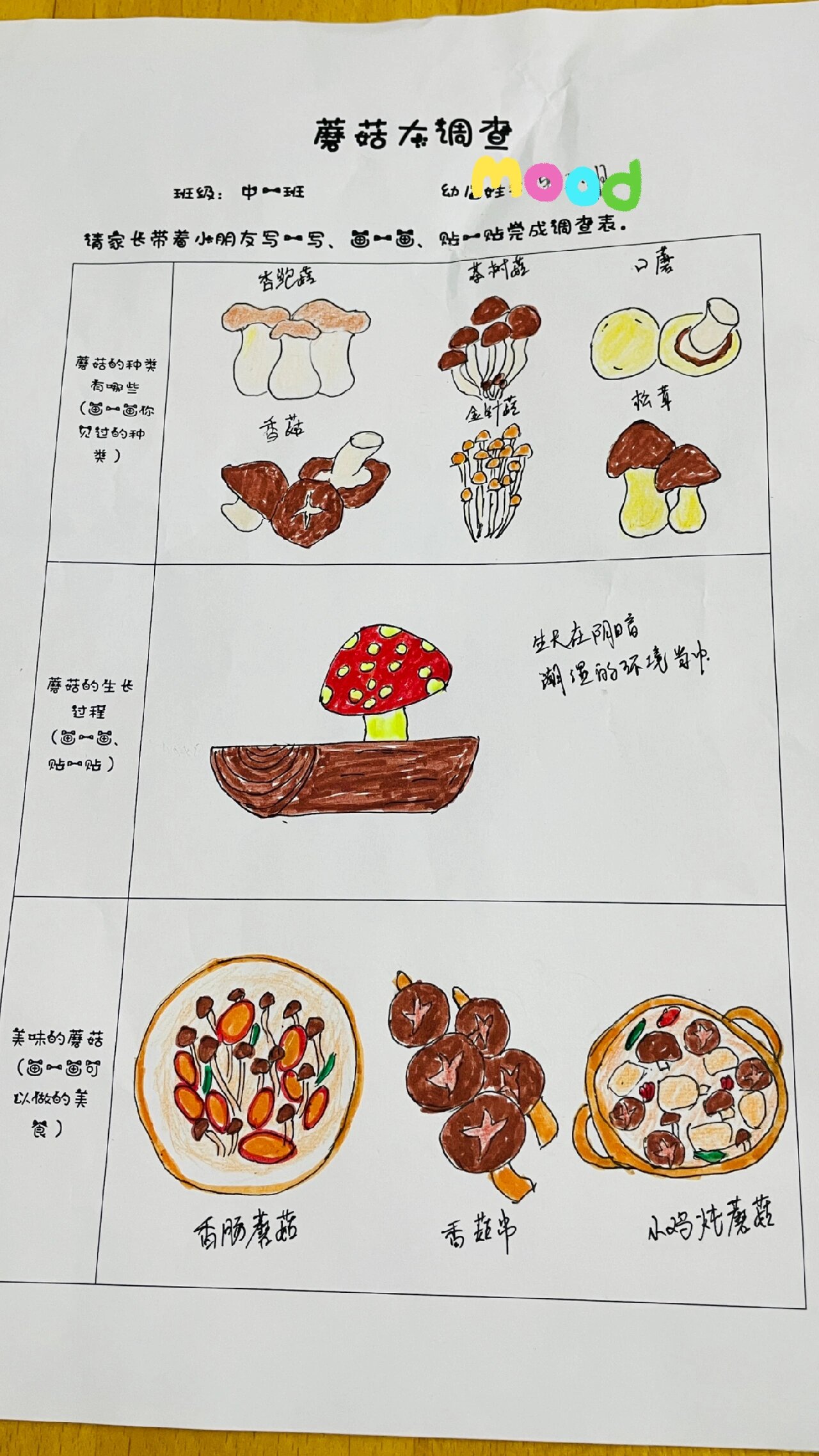 幼儿园蘑菇作业