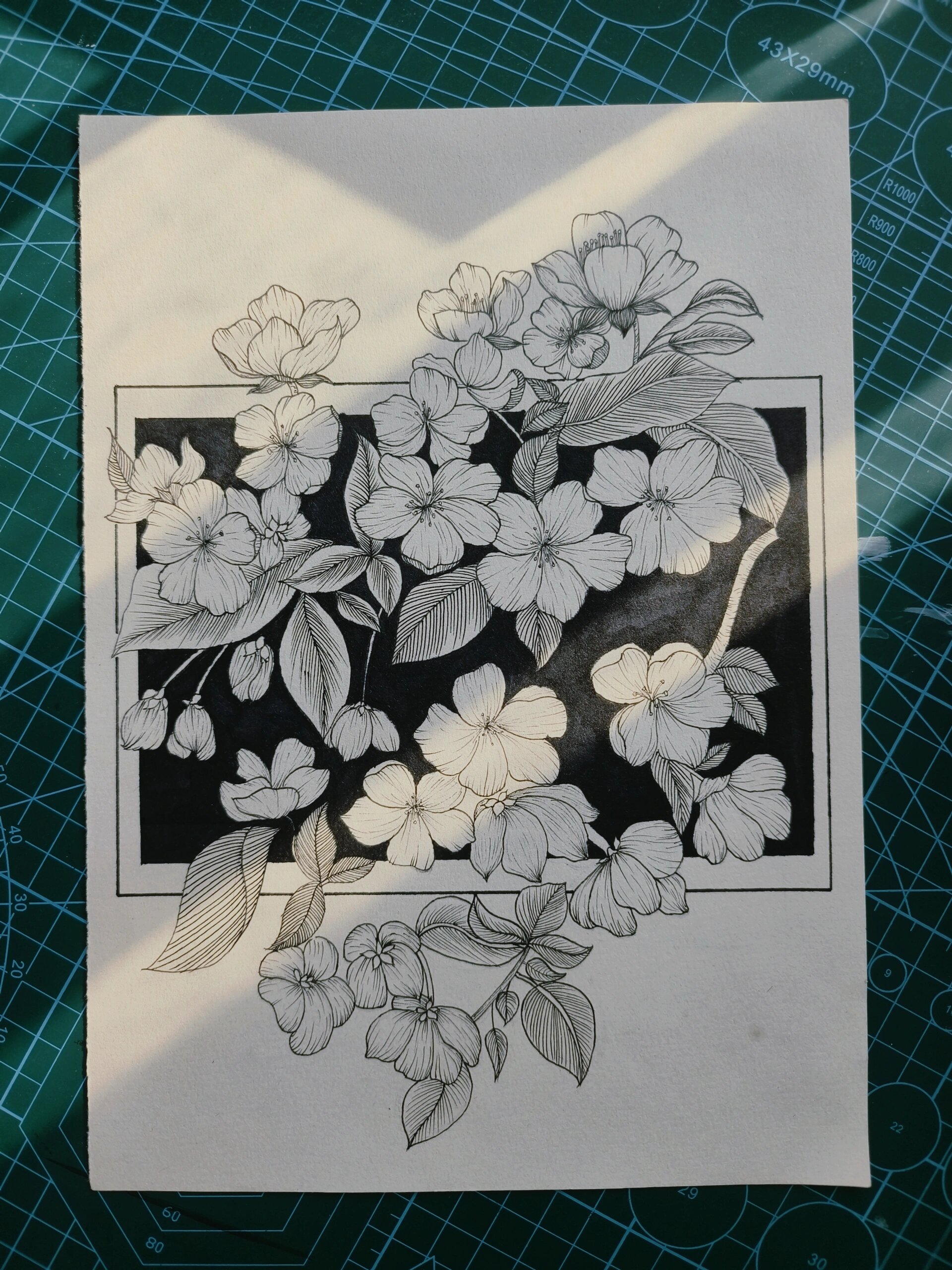 黑白线描花卉海棠花!