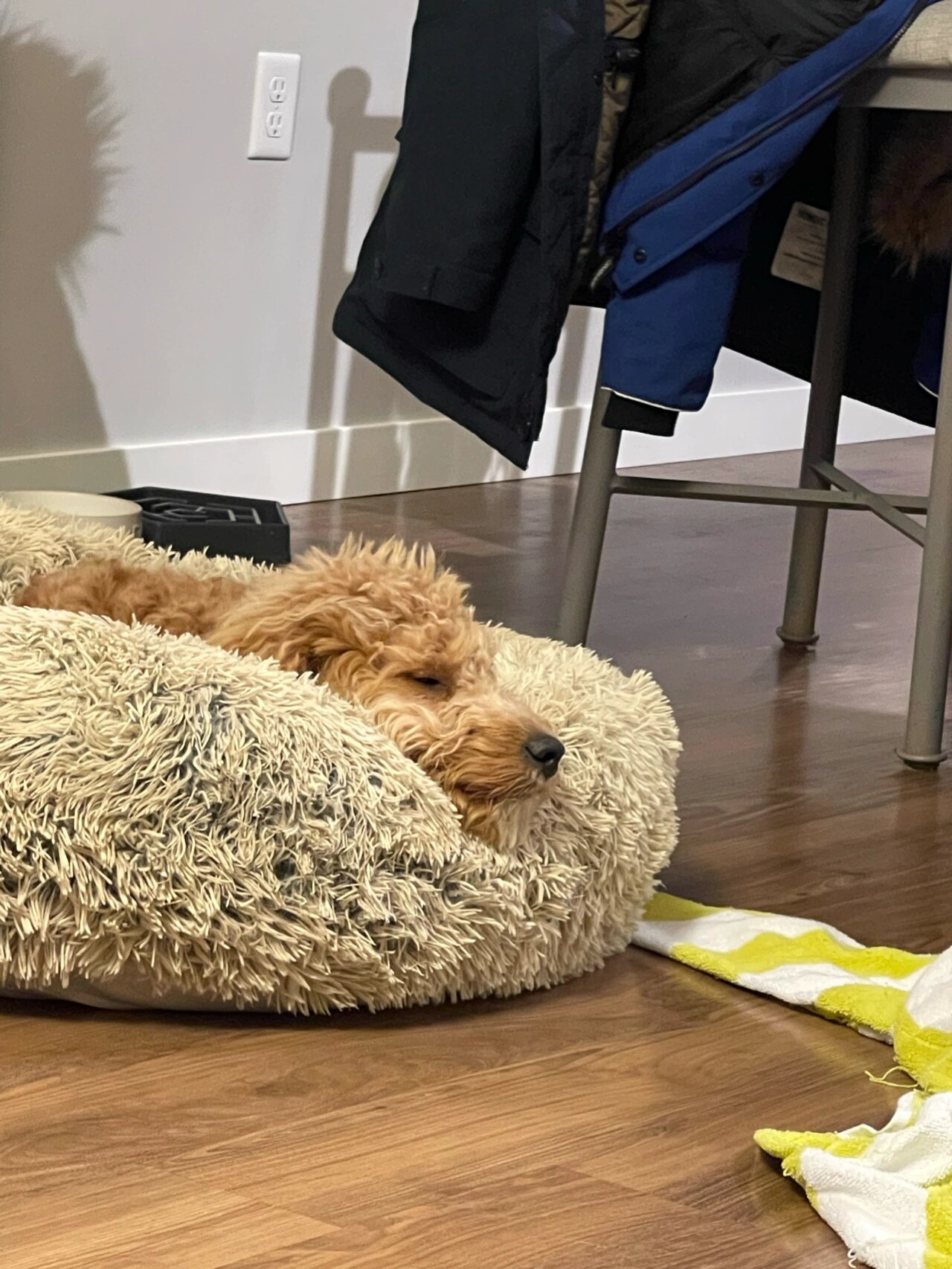 睡觉mo!花式睡姿!