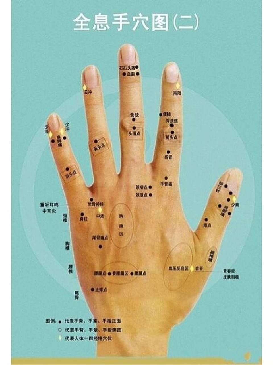 中医人体穴位分布及作用:《全息手穴图》 中医认为手部经络穴位丰富