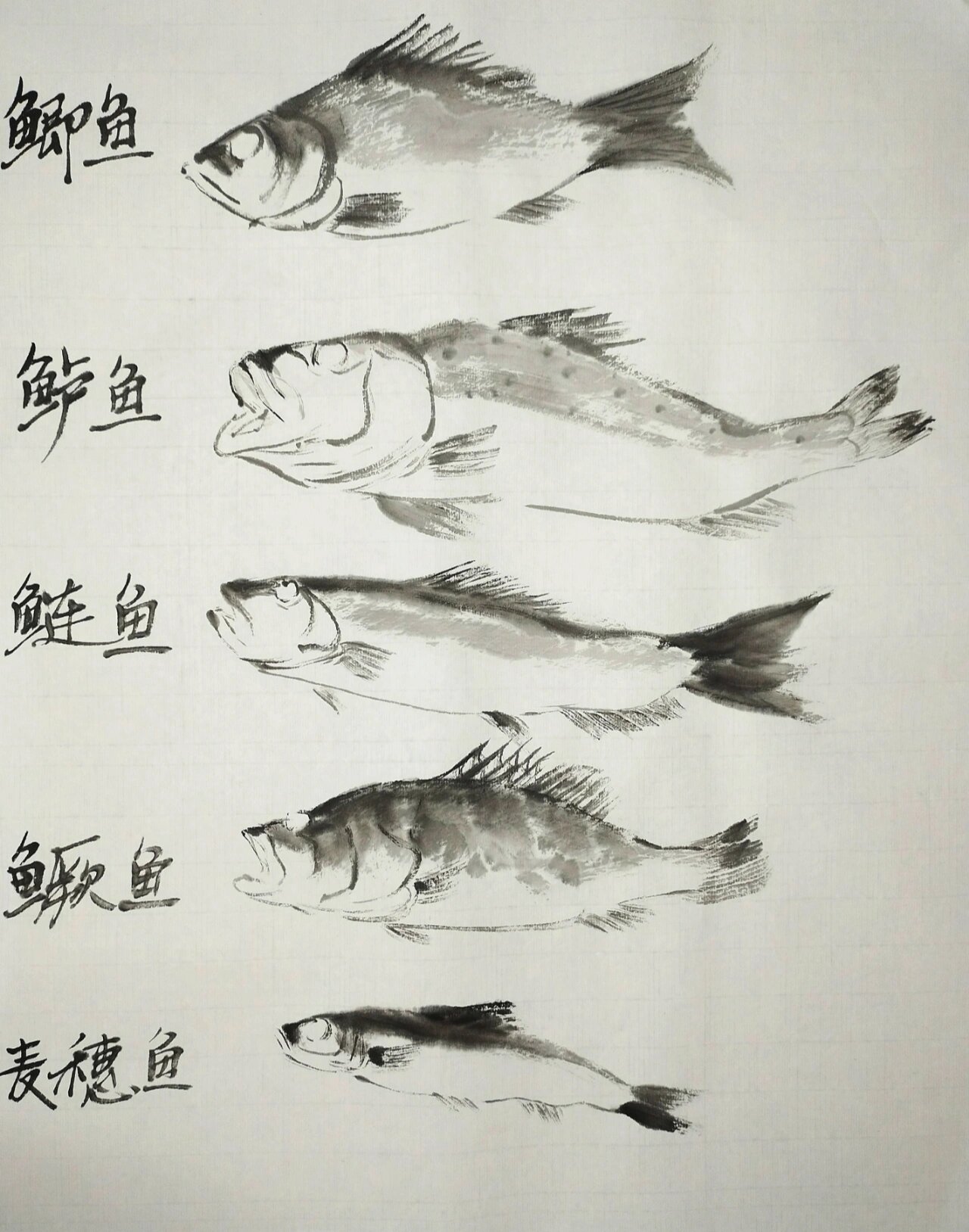 整理几种鱼画法,来我抖音更多分享 搜索抖音号【国画四季逗】
