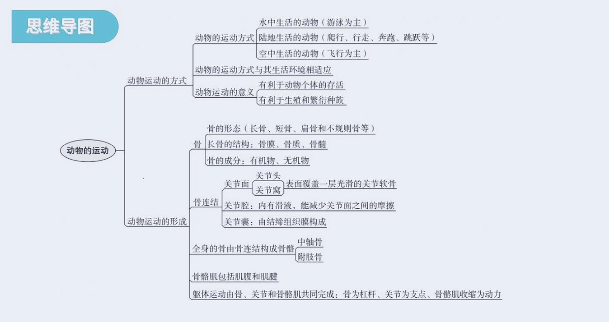 生物八上思维导图.北师大版
