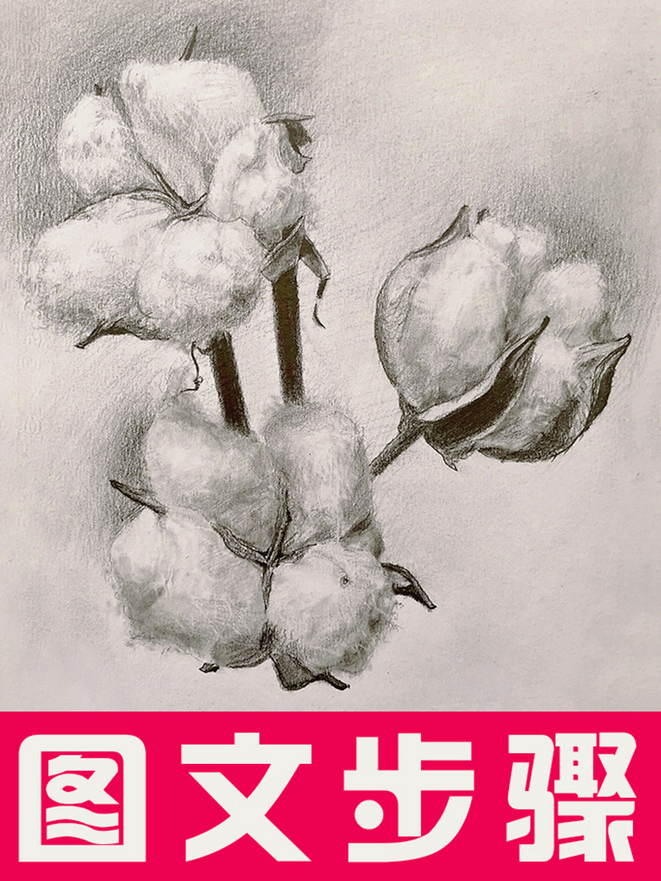 新疆的素描大棉花来了(含图文步骤) 你们觉得素描难吗?