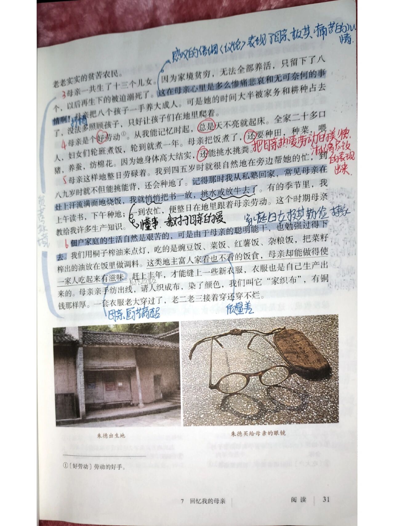 八年级上册语文7课(八年级上册语文7课思维导图)  第1张