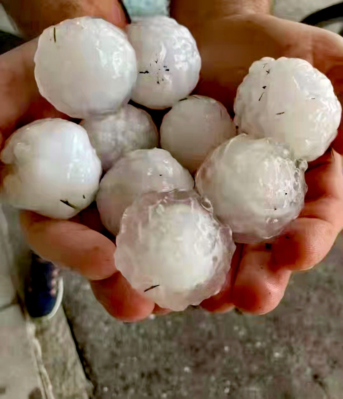 天气##杭州冰雹# 杭州临安下午降下特大冰雹,从现场拍摄图片看个头较