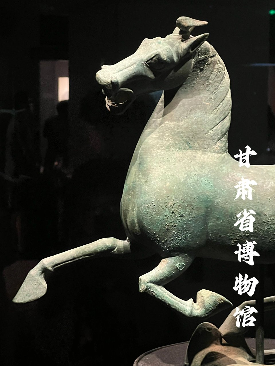 甘肃省博物馆 | 中国旅游标志"马踏飞燕" (照片业余,随拍随看,攻略都