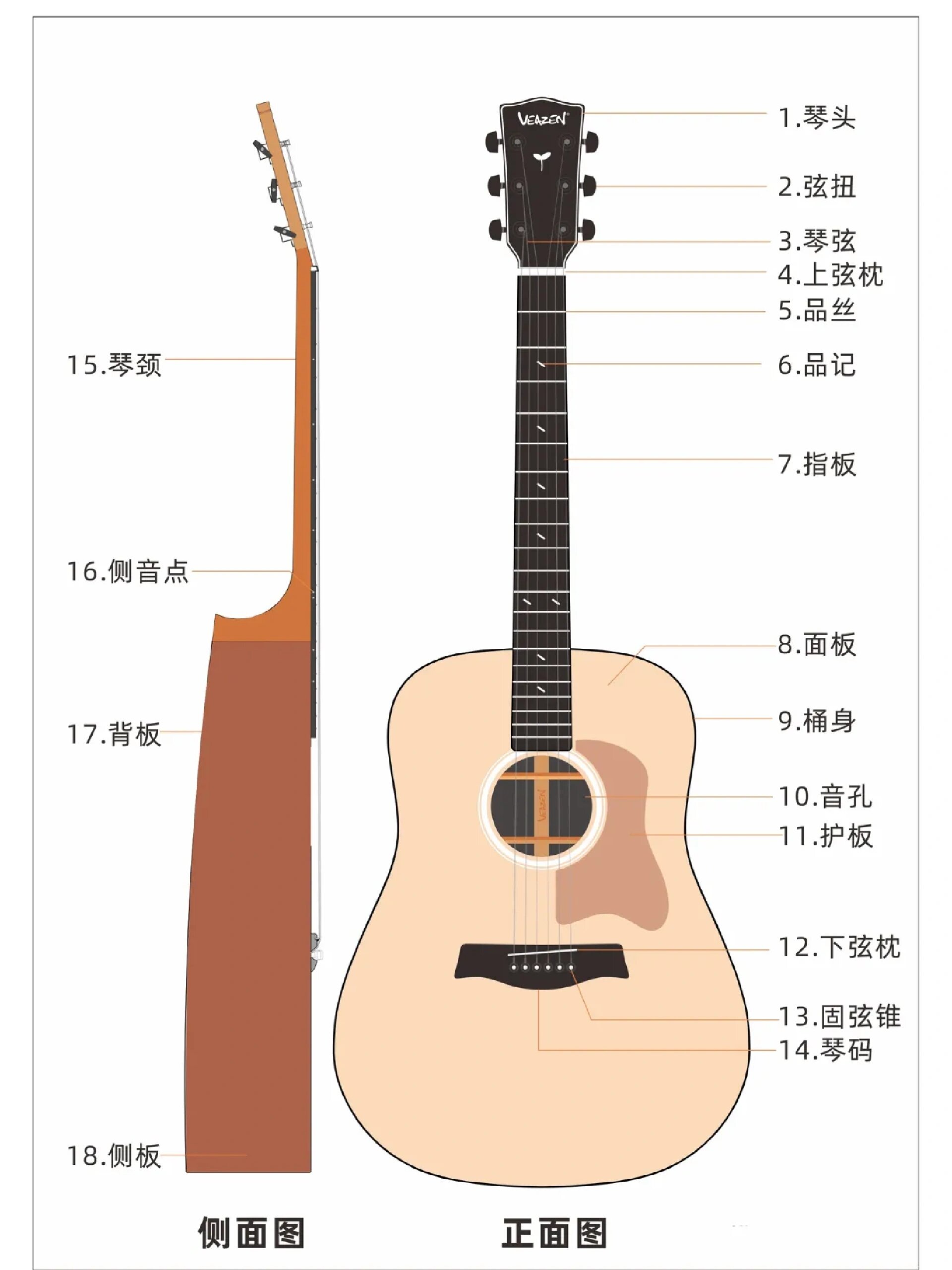 吉他体型图片