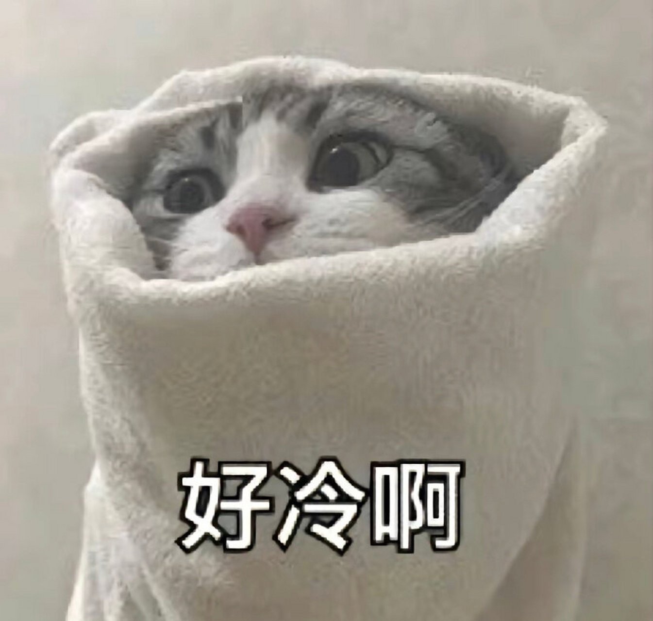 降温了好冷啊冬天表情包