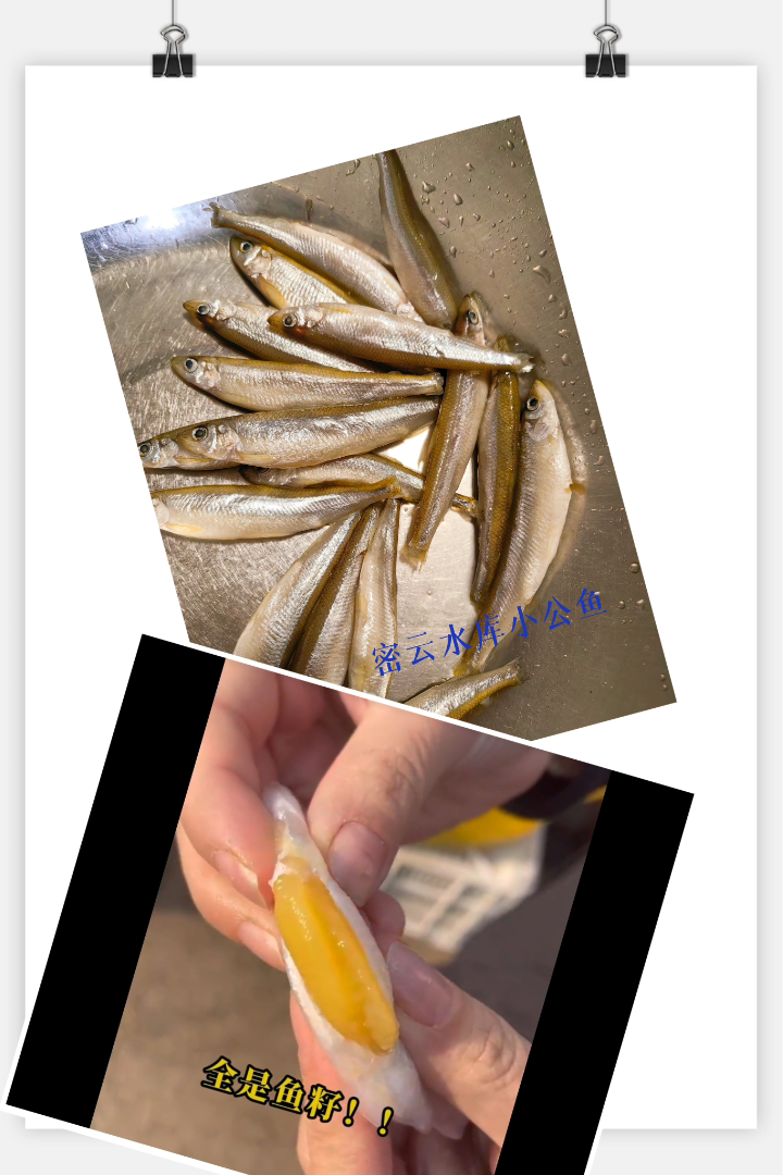 杜安安 的想法: 密云水库小公鱼了解一下!