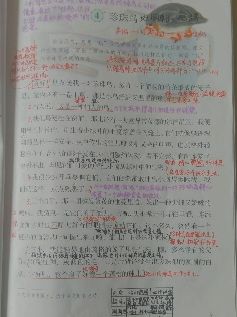 《珍珠鸟》课文 五年级上册课文