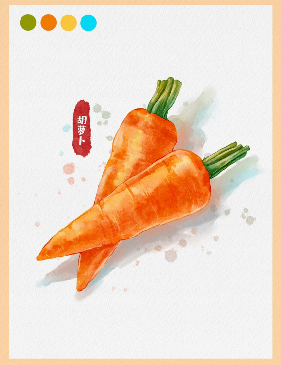 ipad水彩绘画-胡萝卜09(线稿77步骤)附笔刷 蔬菜主题第6幅,是胡