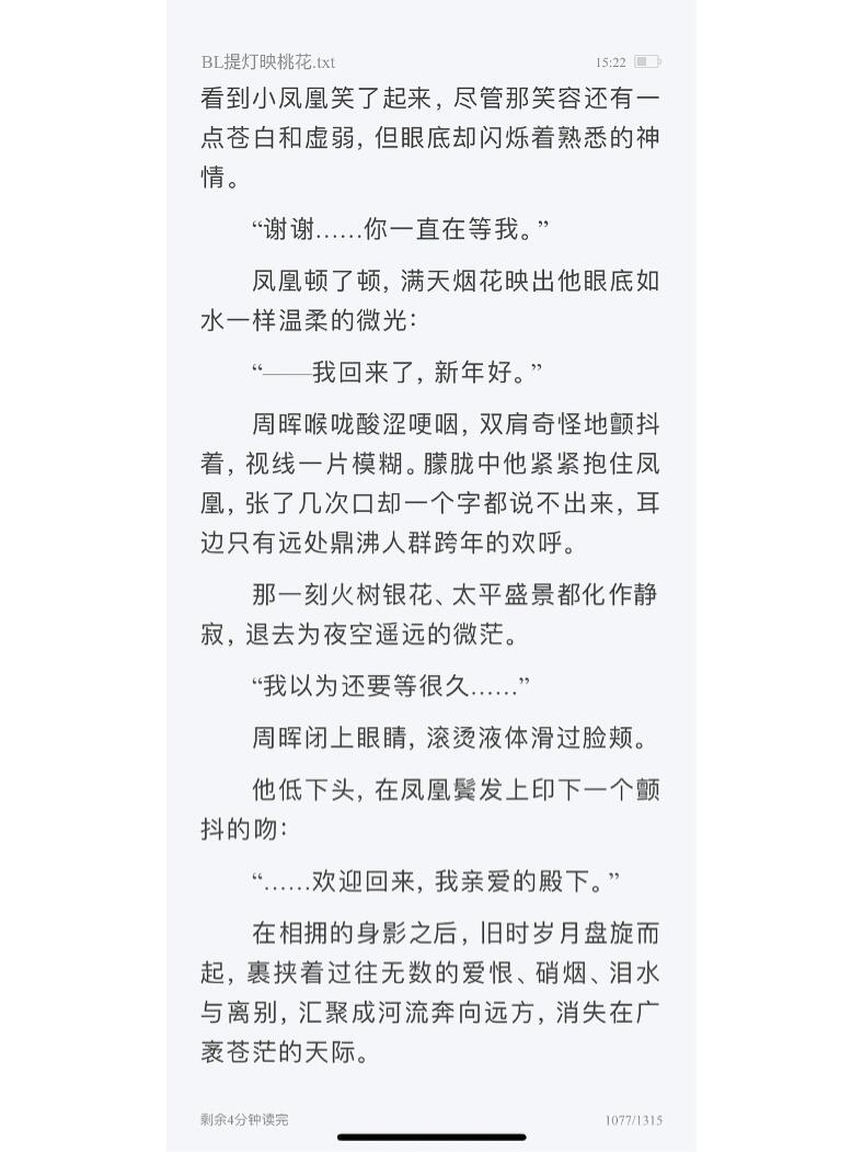 《提灯映桃花》