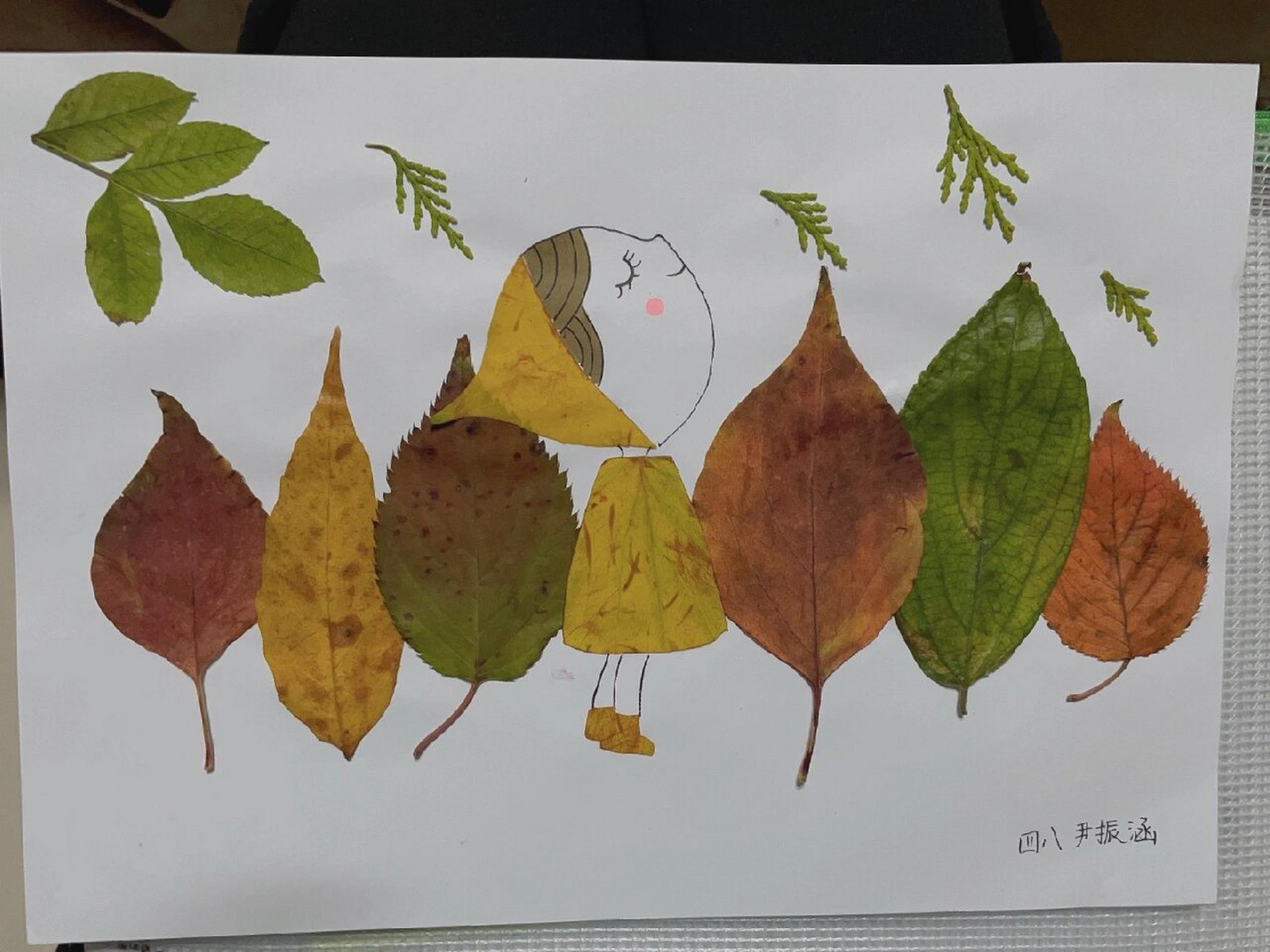 小学生手抄报树叶叶子制作 小学生,制作叶子手抄报