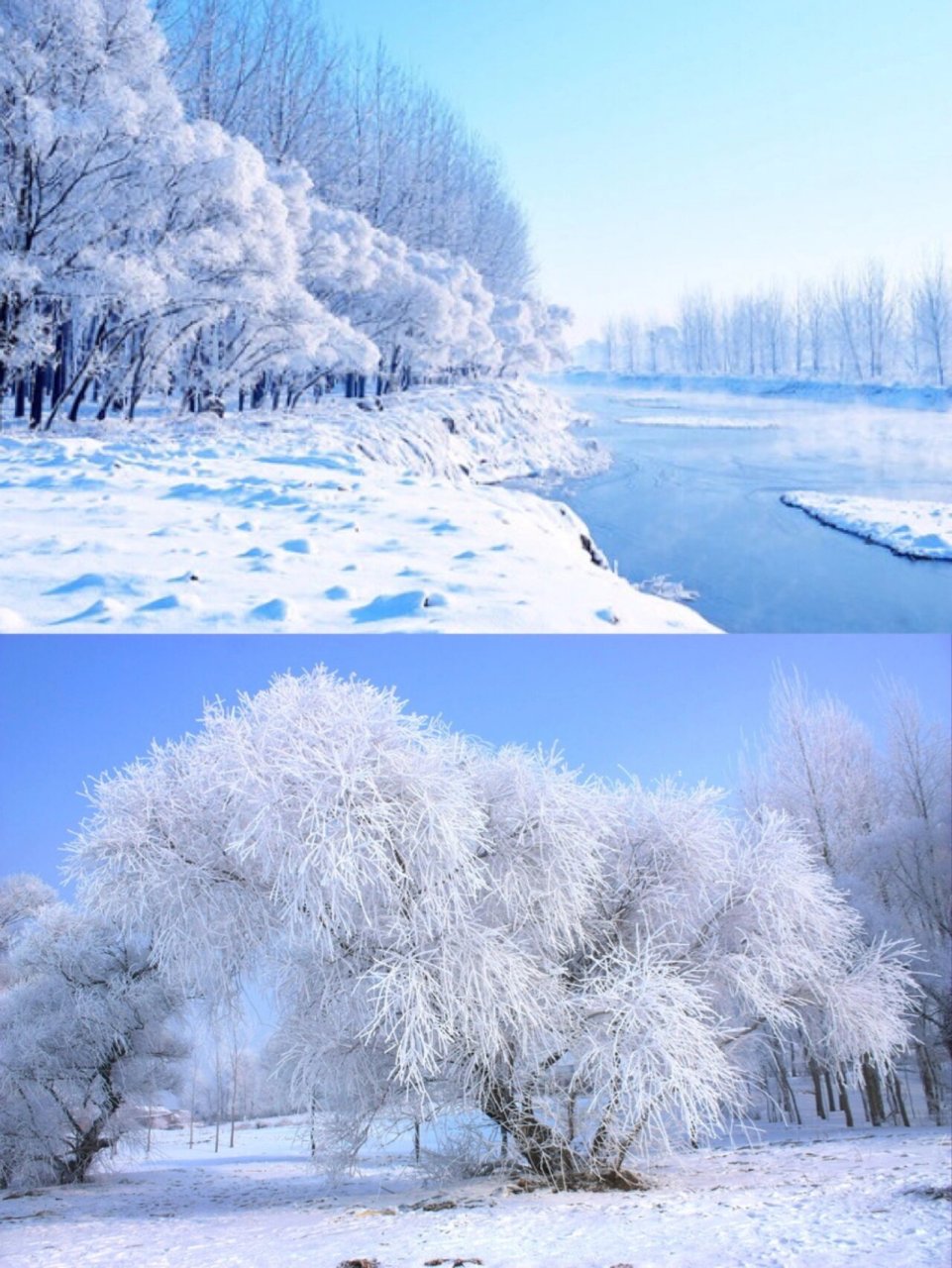 雾凇图片高清 雪景图片