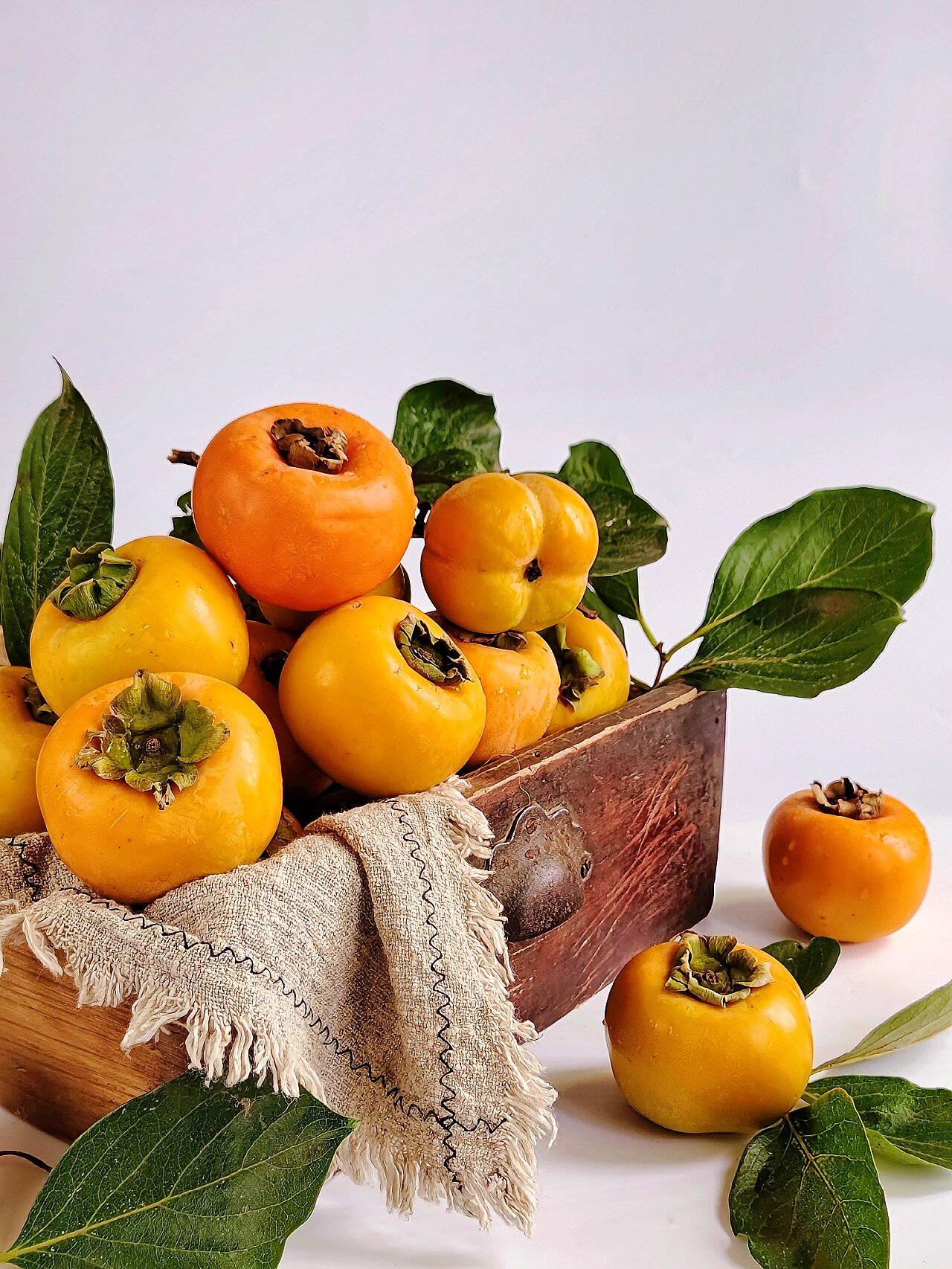 1000集美术生静物素材合集分享 | 柿柿如意