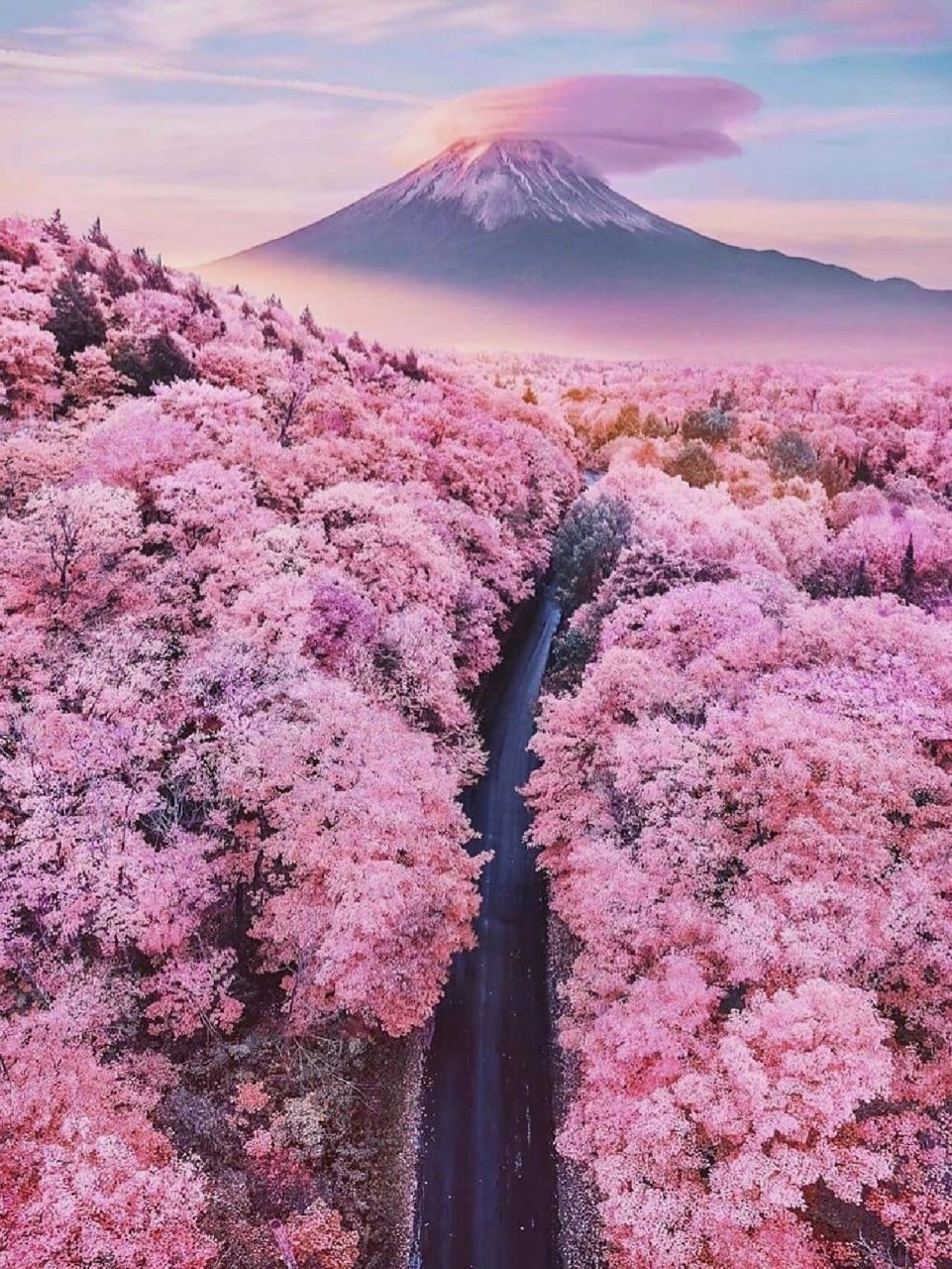 日本9591——富士山(mount fuji)90 富士山(日语:ふじさん;英语