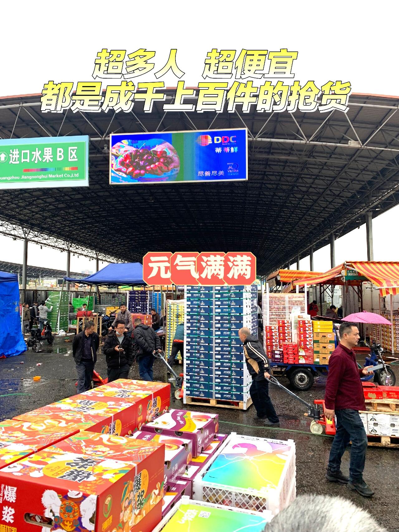 2024广州水果宝藏地 | 江南水果批发市场