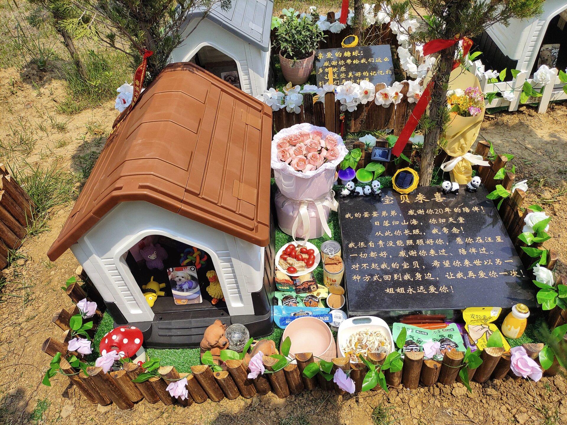 云天宠物庄园|沈阳宠物殡葬火化